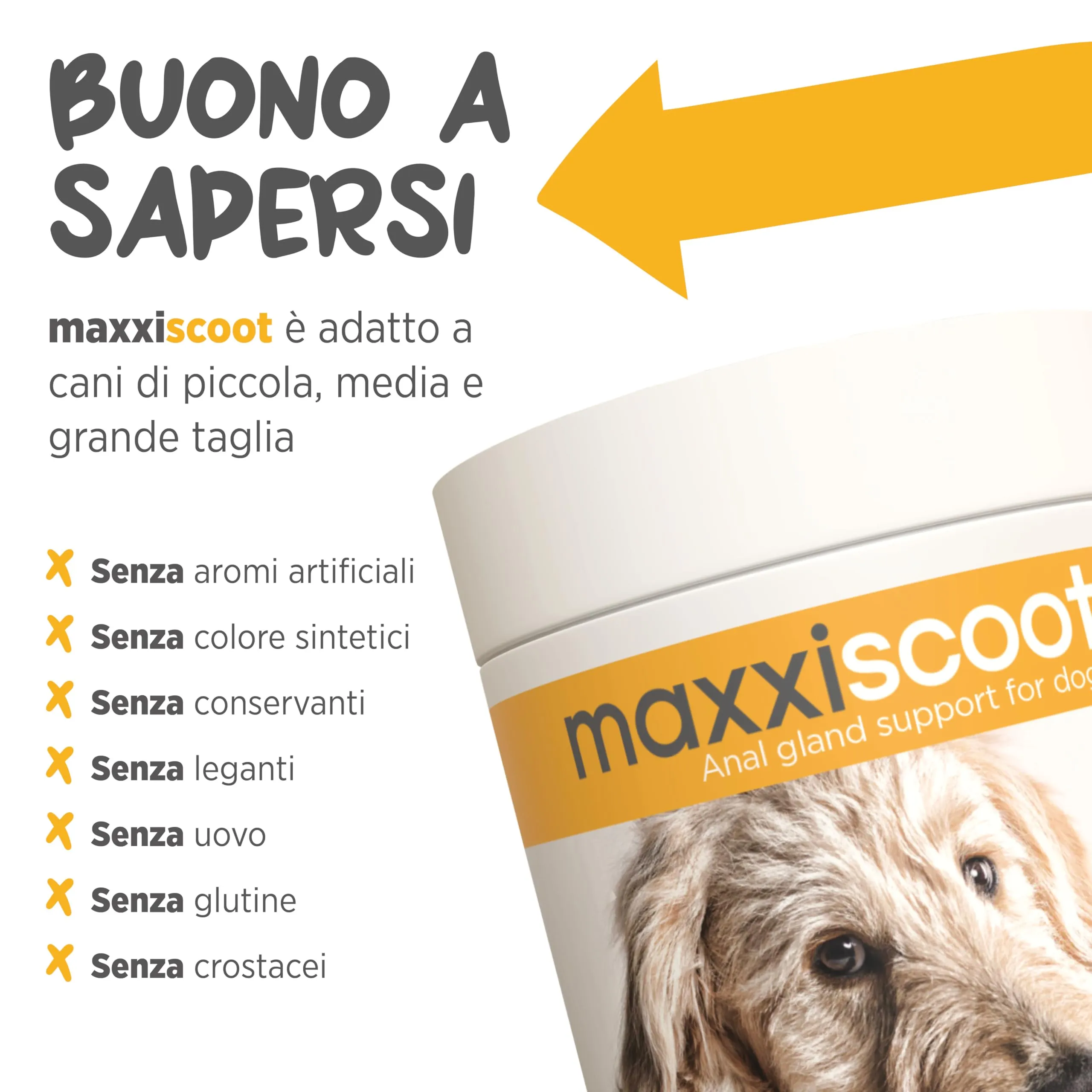 maxxiscoot Supporto Ghiandole Cani - Ghiandole & Digestione Polvere 140g - immagine 7