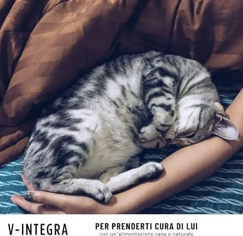 V-INTEGRA Renal Met (con Metionina) - Integratore Completo Ricco di Vitamine e Minerali, per la Dieta Casalinga di Cani e Gatti che Richiedono una Restrizione di Fosforo - 200g - Made in Italy - immagine 5