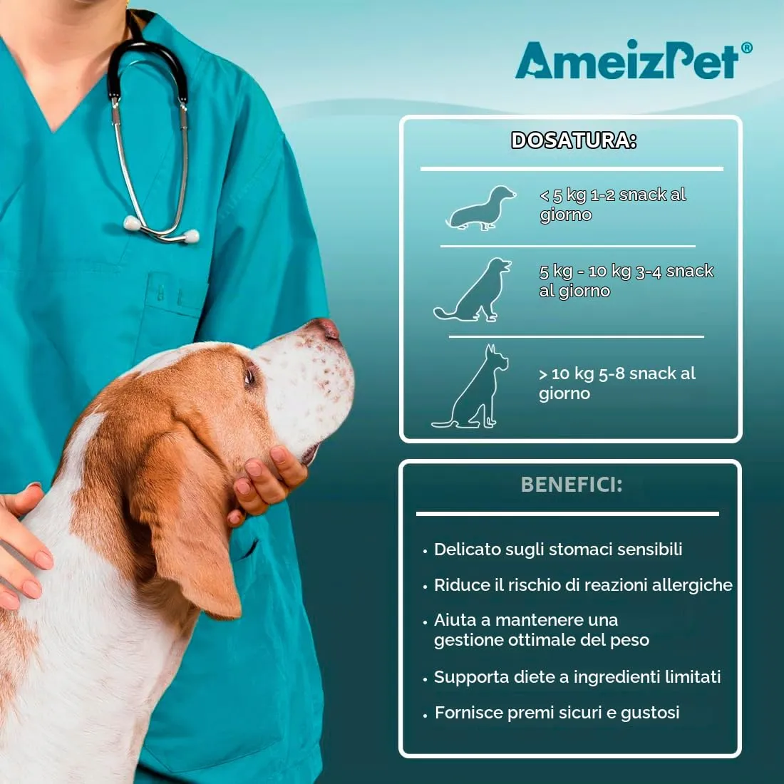 AmeizPet Snack Ipoallergenici per Cani, Supporto Digestivo, 75g - immagine 4
