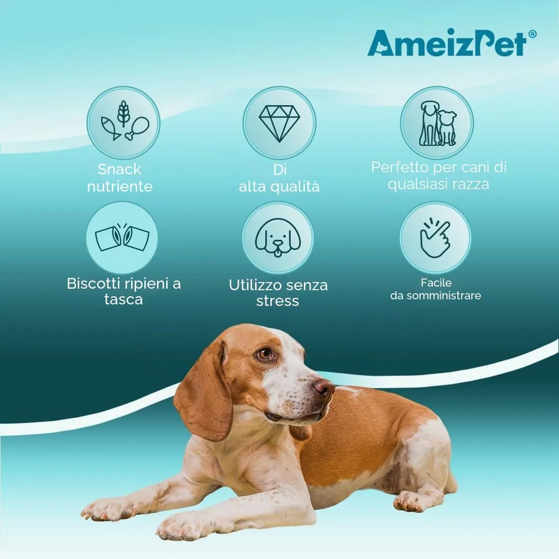 AmeizPet Snack Ipoallergenici per Cani, Supporto Digestivo, 75g - immagine 5