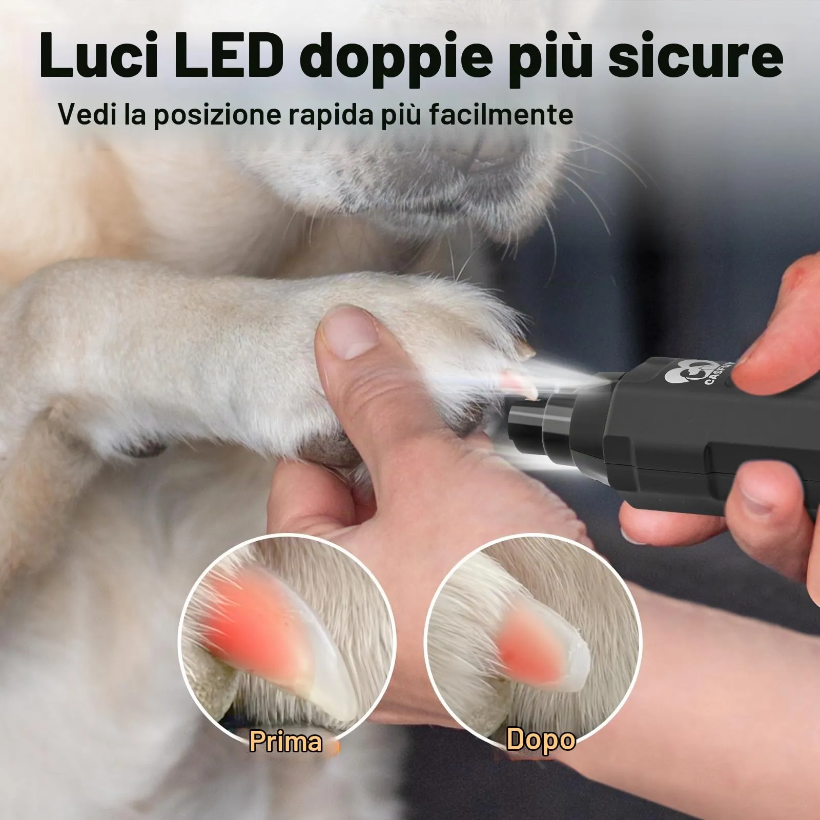 Casfuy Levigatrice a Artigli per Cani a 6 Marce – Levigatrice a Artigli per Animali Domestici, Super silenziosa, Ricaricabile, elettrica per Cani di Taglia Grande, Media e Piccola Taglia - immagine 3