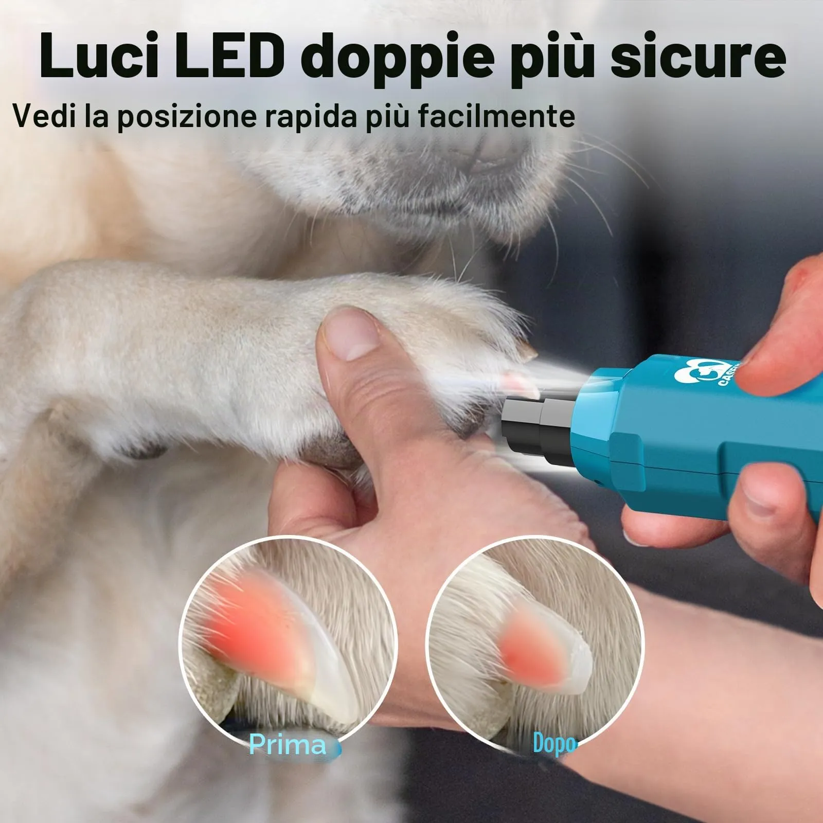 Casfuy Smerigliatrice per Unghie per Cani a 6 velocità, Super silenziosa, Ricaricabile, Elettrico, per toelettatura e levigatura delle Zampe indolori, per Cani di Taglia Grande, Media e Piccola (Blu - immagine 3