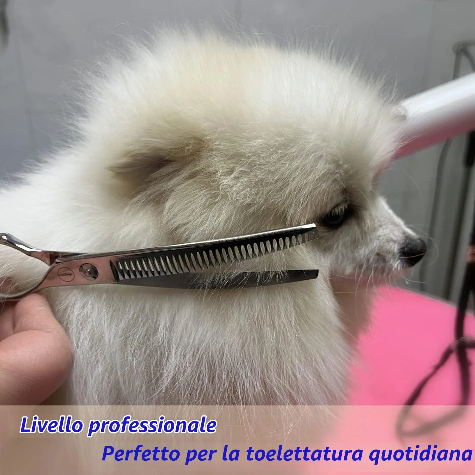 HASHIMOTO Forbici curve per cani, forbici curve per gatti, 33 denti, 7,0 pollici, tasso di assottigliamento del 65%, peso leggero. Speciale progettato per i toelettatori di animali domestici - immagine 5