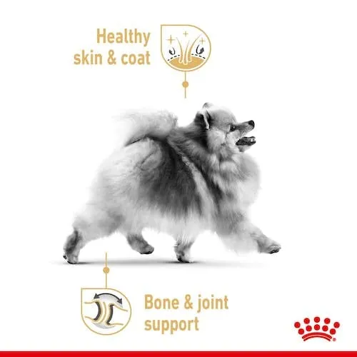 Royal Canin Pomeranian Adult | Confezione da 4 | 4 x 12 x 85 g | Alimento completo per cani | Per Spitz nani adulti e anziani | A partire dall'8° mese | Contenuto minerale adeguato - immagine 6