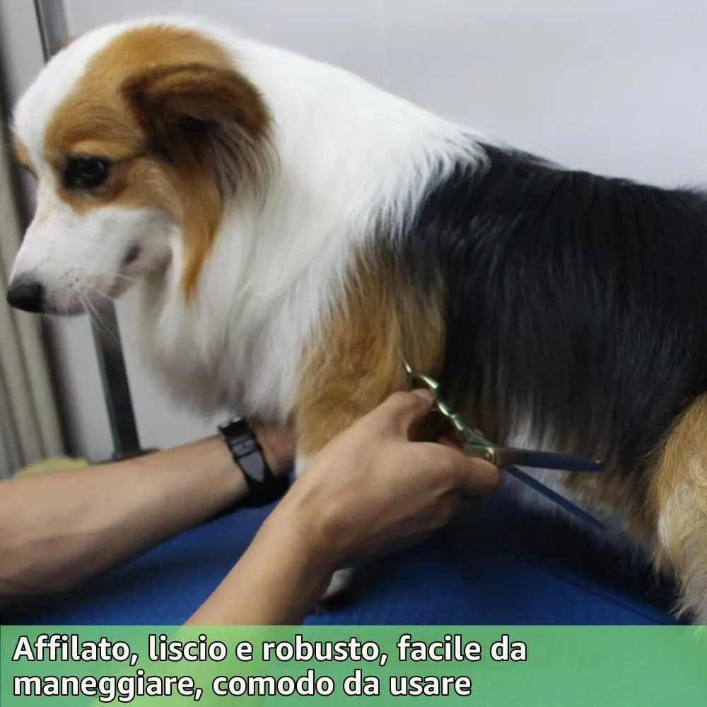 HASHIMOTO Forbici sfoltitrici per cani, forbici sfoltitrici per cani per la toelettatura, 42 denti, 16,5 cm, tasso di sfoltimento del 30%, estremamente leggere, progettate per toelettatori - immagine 5