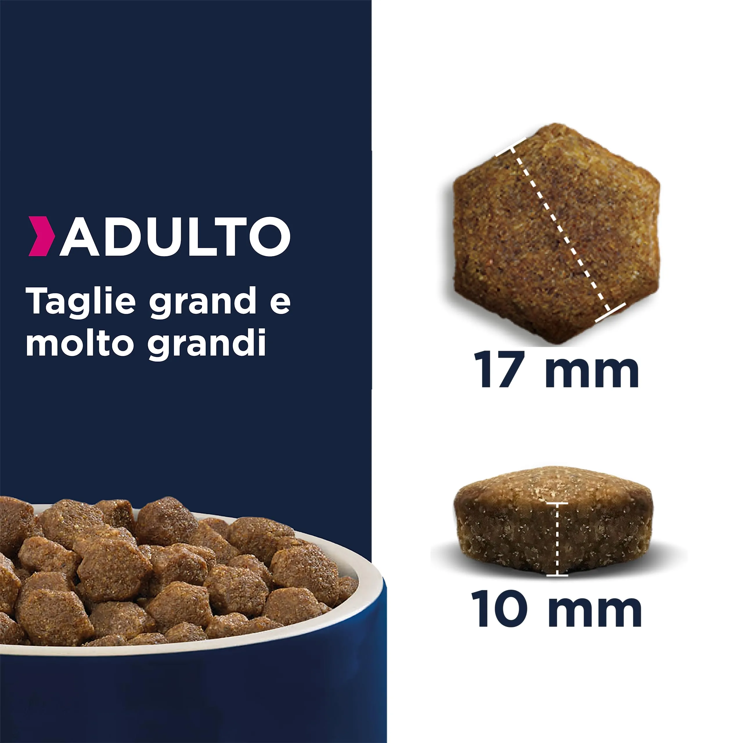 EUKANUBA Cibo per cani senza cereali con agnello per razze di taglia grande - alimento secco per cani adulti, 12 kg - immagine 3
