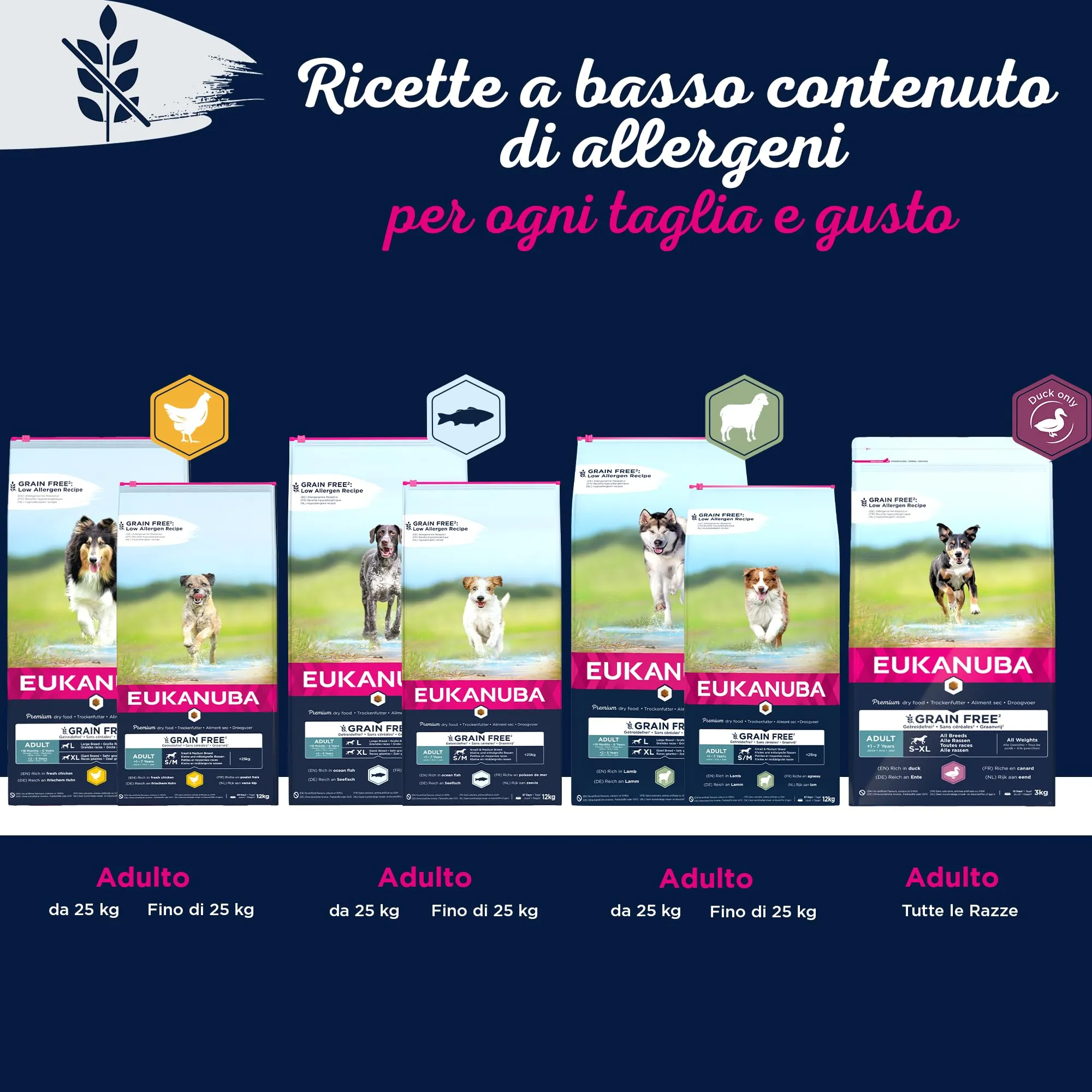 EUKANUBA Cibo per cani senza cereali con agnello per razze di taglia grande - alimento secco per cani adulti, 12 kg - immagine 5