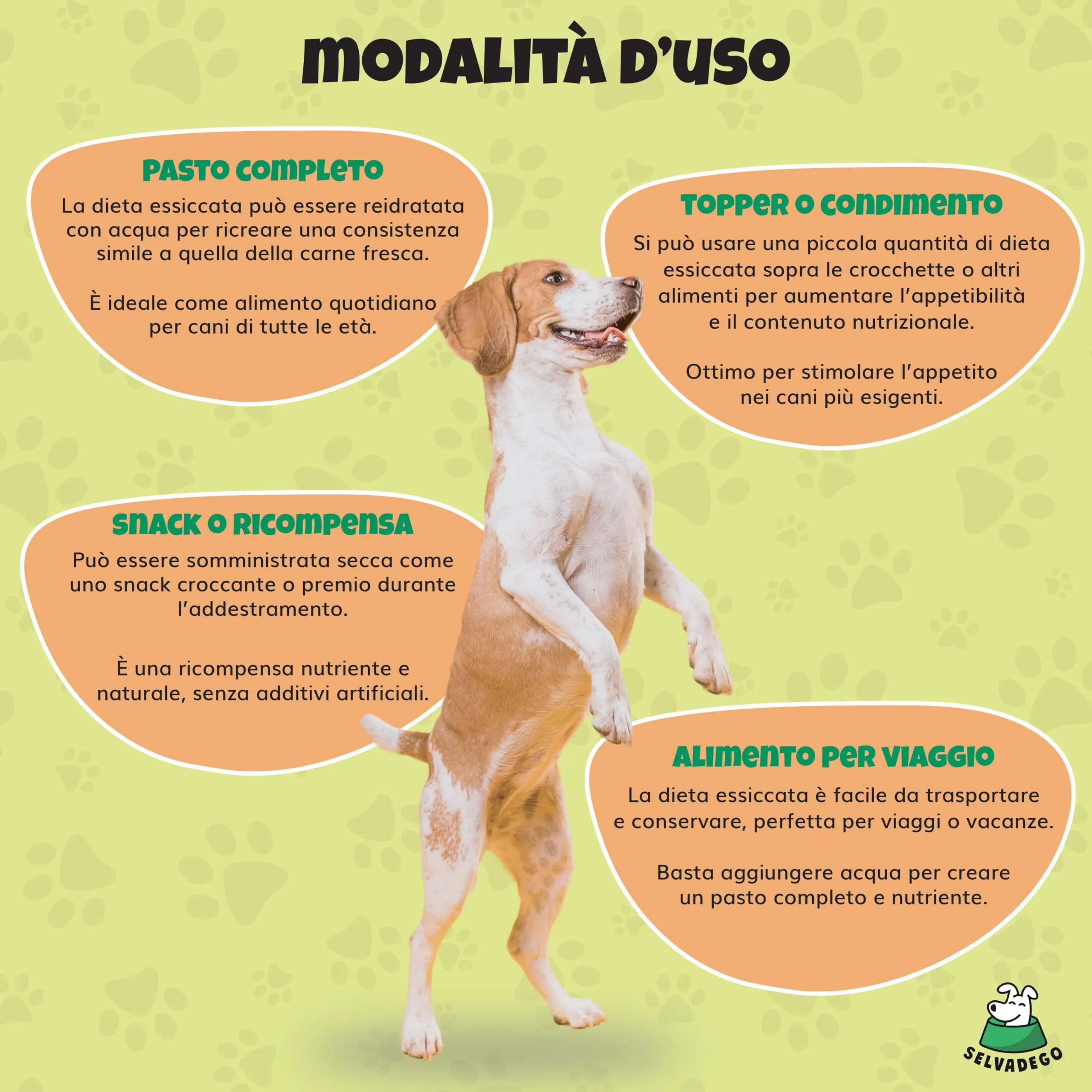 SELVADEGO | Cibo Naturale per Cani – Selvaggina e Salmone – Alimento Completo Ispirato alla Dieta BARF – 100% Naturale, Digeribile e Facile da Preparare – 800 g (800 gr, Selvaggina e Salmone) - immagine 6