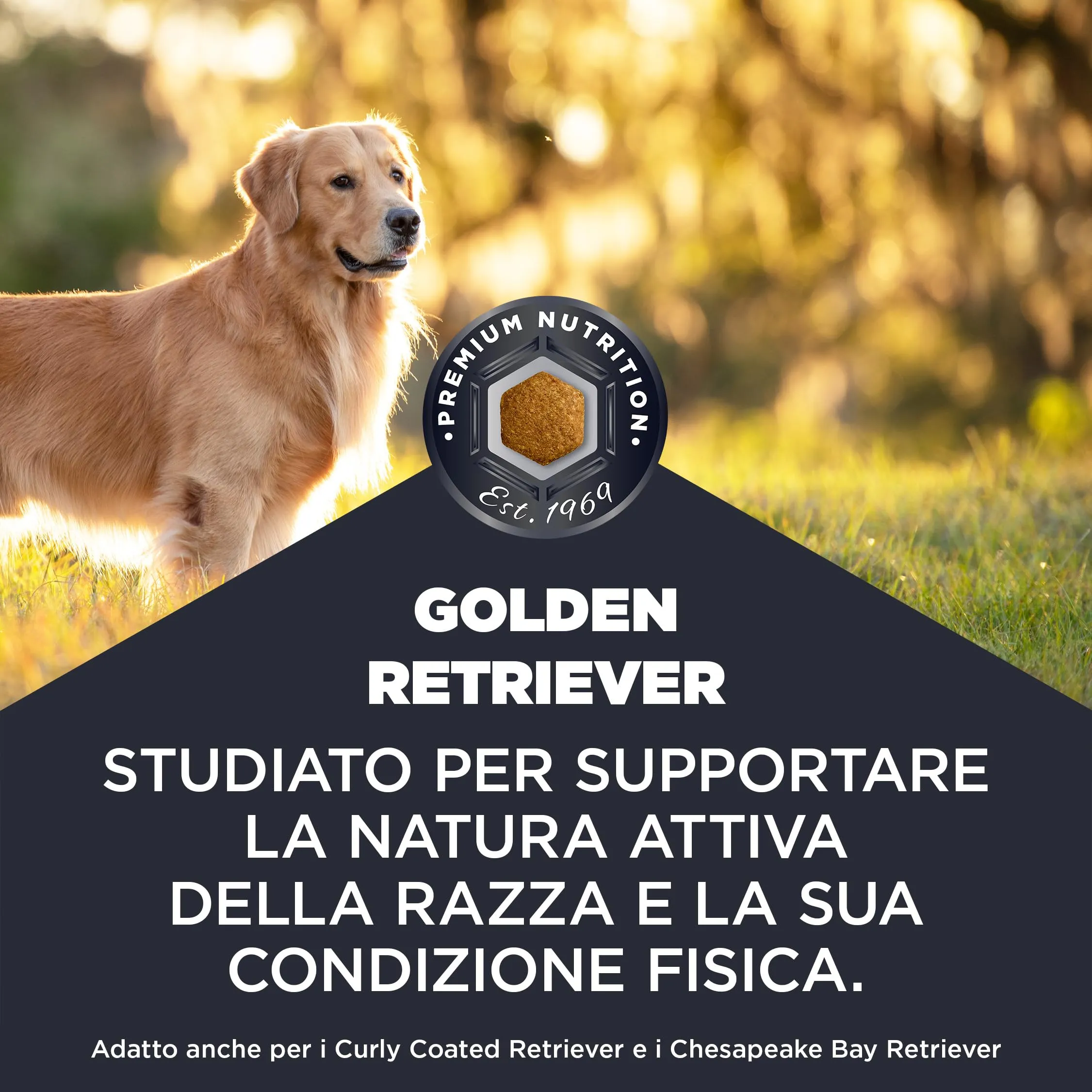 Eukanuba Cibo secco per cani EUKANUBA Breed Care per Golden Retriever adulti 12 kg - immagine 3