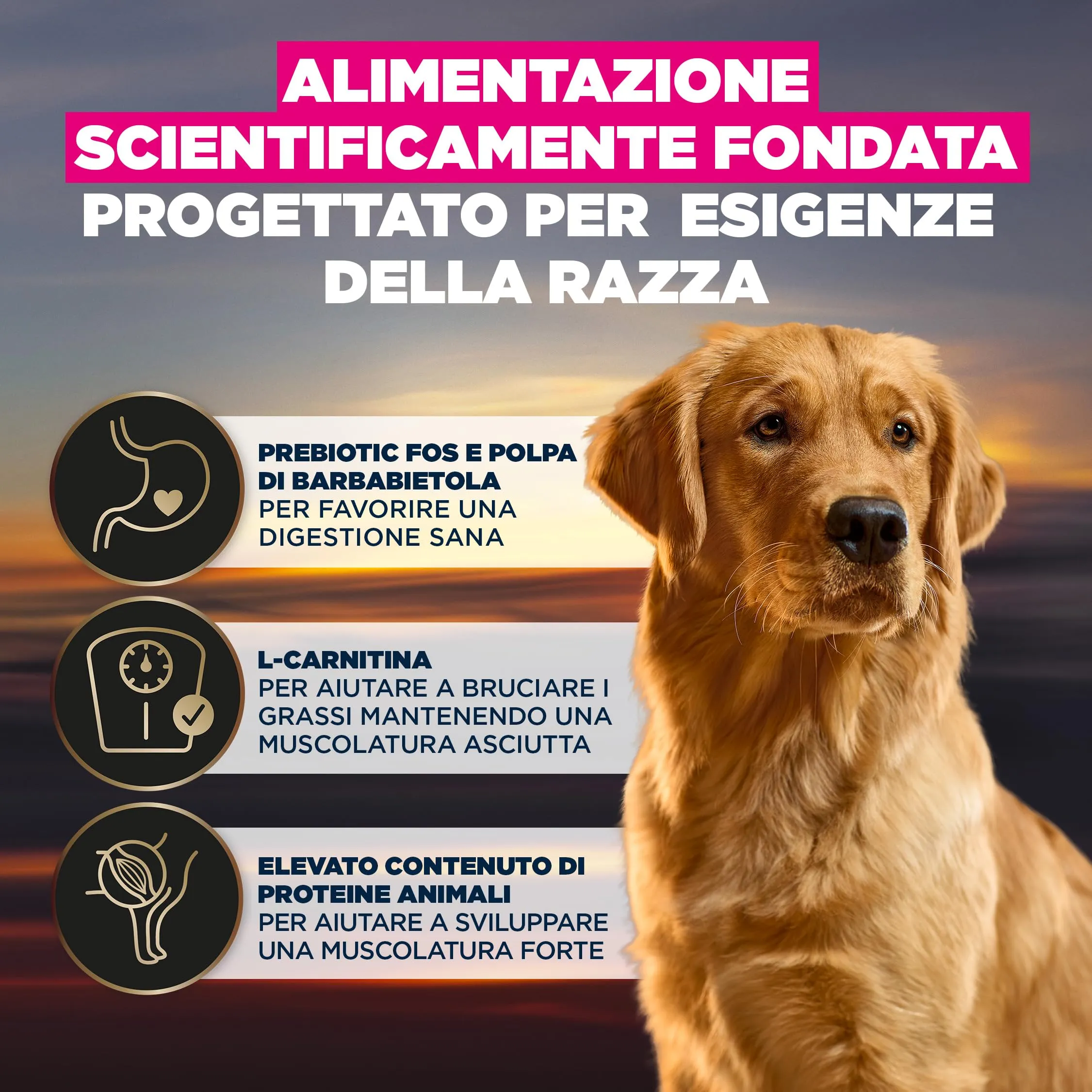 Eukanuba Cibo secco per cani EUKANUBA Breed Care per Golden Retriever adulti 12 kg - immagine 5