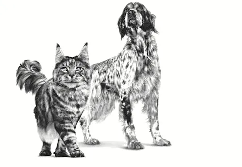 Veterinary Recovery | Mousse per cani e gatti | 12 x 195 g - immagine 4