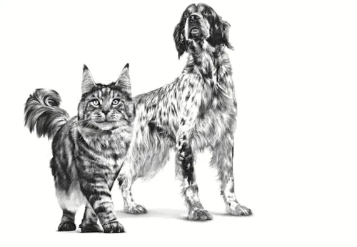 Veterinary Recovery | Mousse per cani e gatti | 12 x 195 g - immagine 5