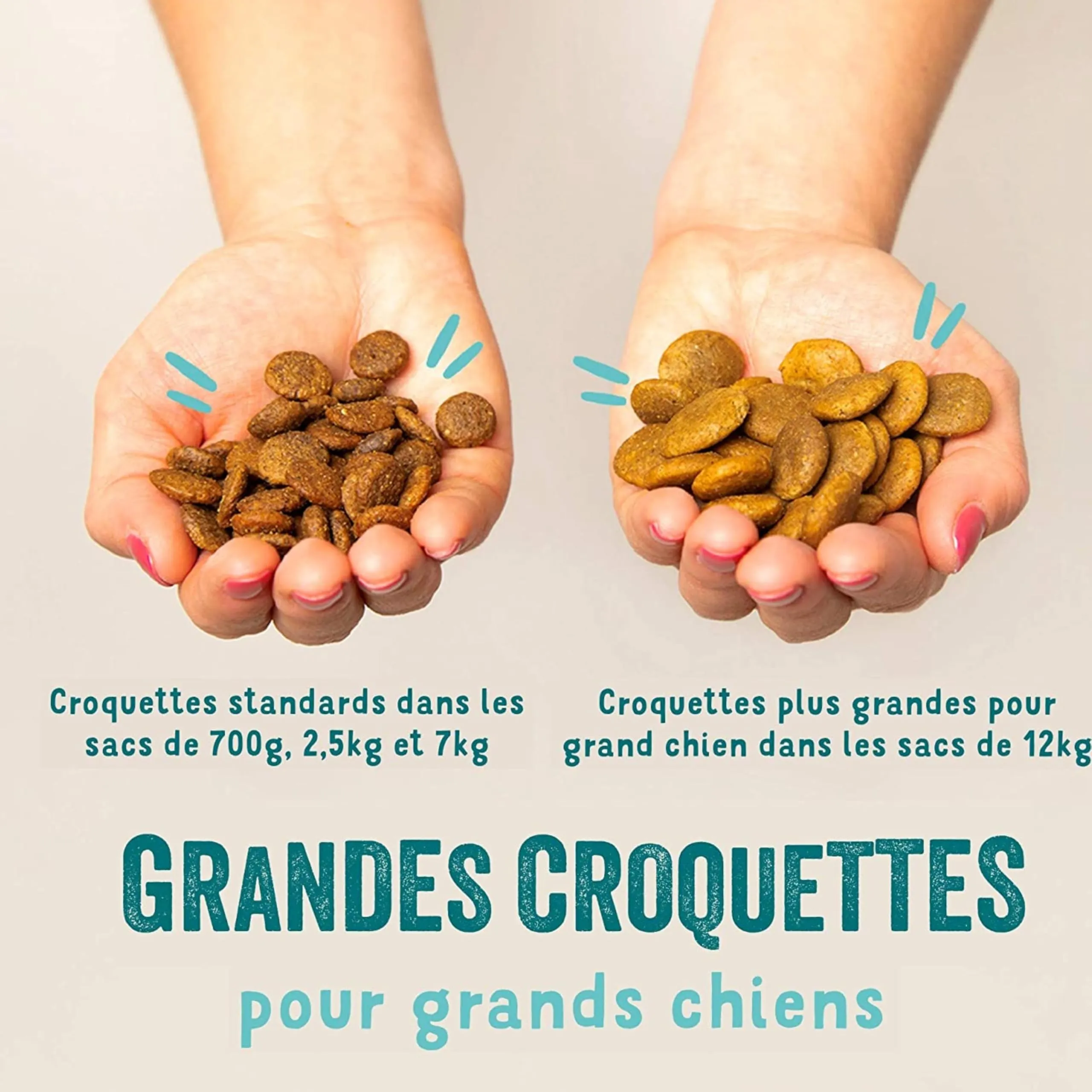 Edgard & Cooper Crocchette per Cani Senior, (Pollo & Salmone, 2,5 kg), Carne e pesce fresco e proteine di qualità, Veri ingredienti per cani, Ipoallergenico, Senza zuccheri aggiunti - immagine 3