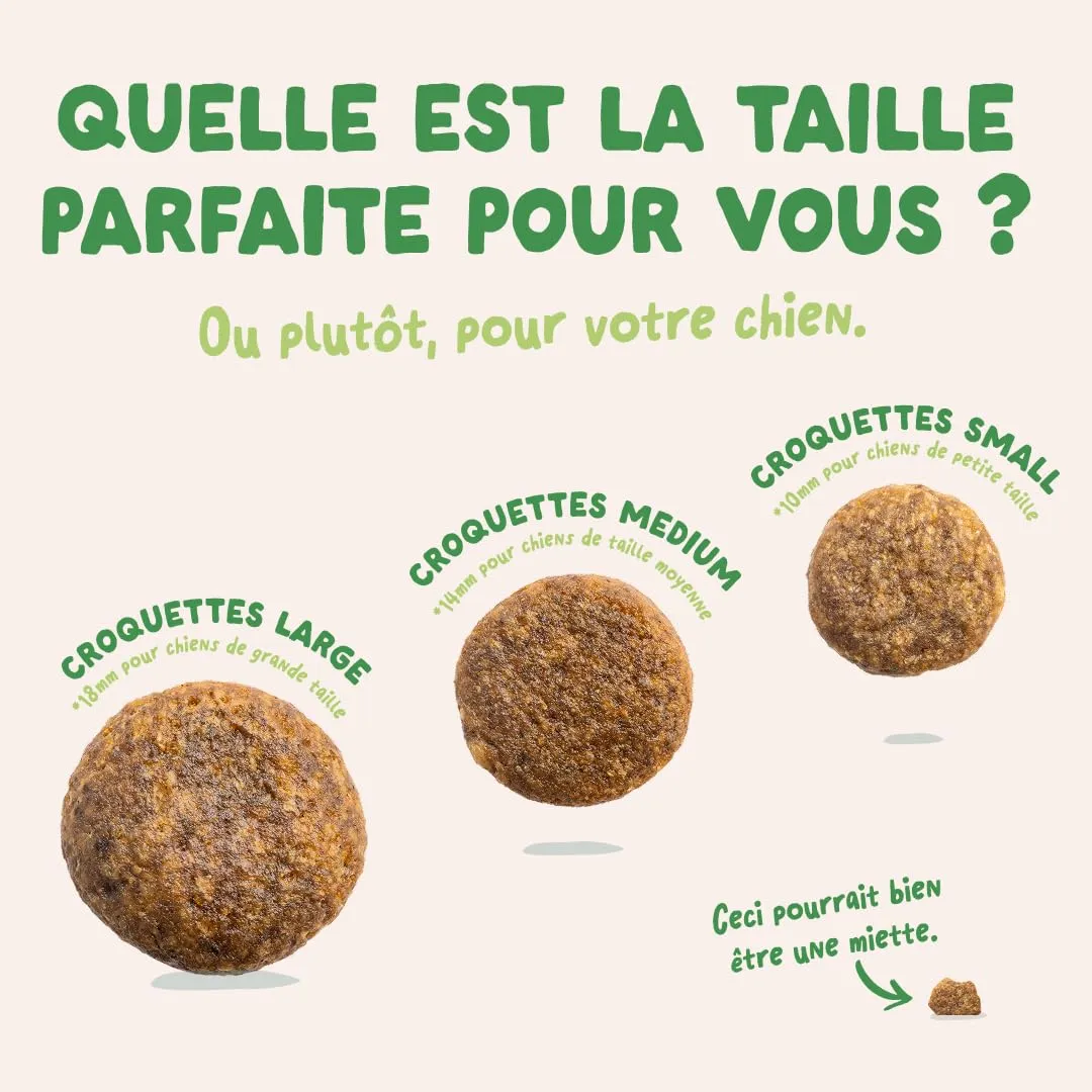 Edgard & Cooper Crocchette Cane, (Agnello Fresco, 2.5kg), senza Cereali, Carne fresca e proteine di qualità, ingredienti veri per Cani, Ipoallergenico, senza zuccheri aggiunti - immagine 5