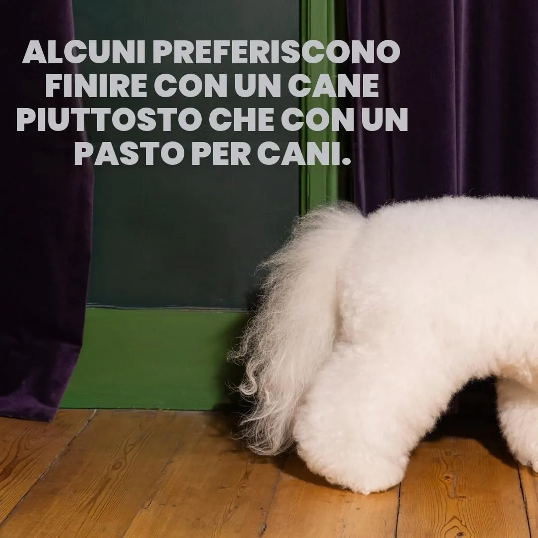 Edgard & Cooper Crocchette Cane, (Agnello Fresco, 2.5kg), senza Cereali, Carne fresca e proteine di qualità, ingredienti veri per Cani, Ipoallergenico, senza zuccheri aggiunti - immagine 9