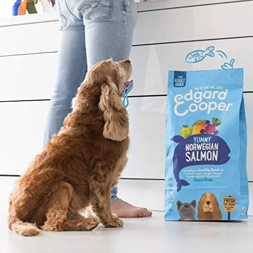 Edgard & Cooper Crocchette per cani adulti senza cereali Cibo naturale equilibrato 2,5 kg Salmone fresco ipoallergenico, proteine di alta qualità, sano, gustoso - immagine 3