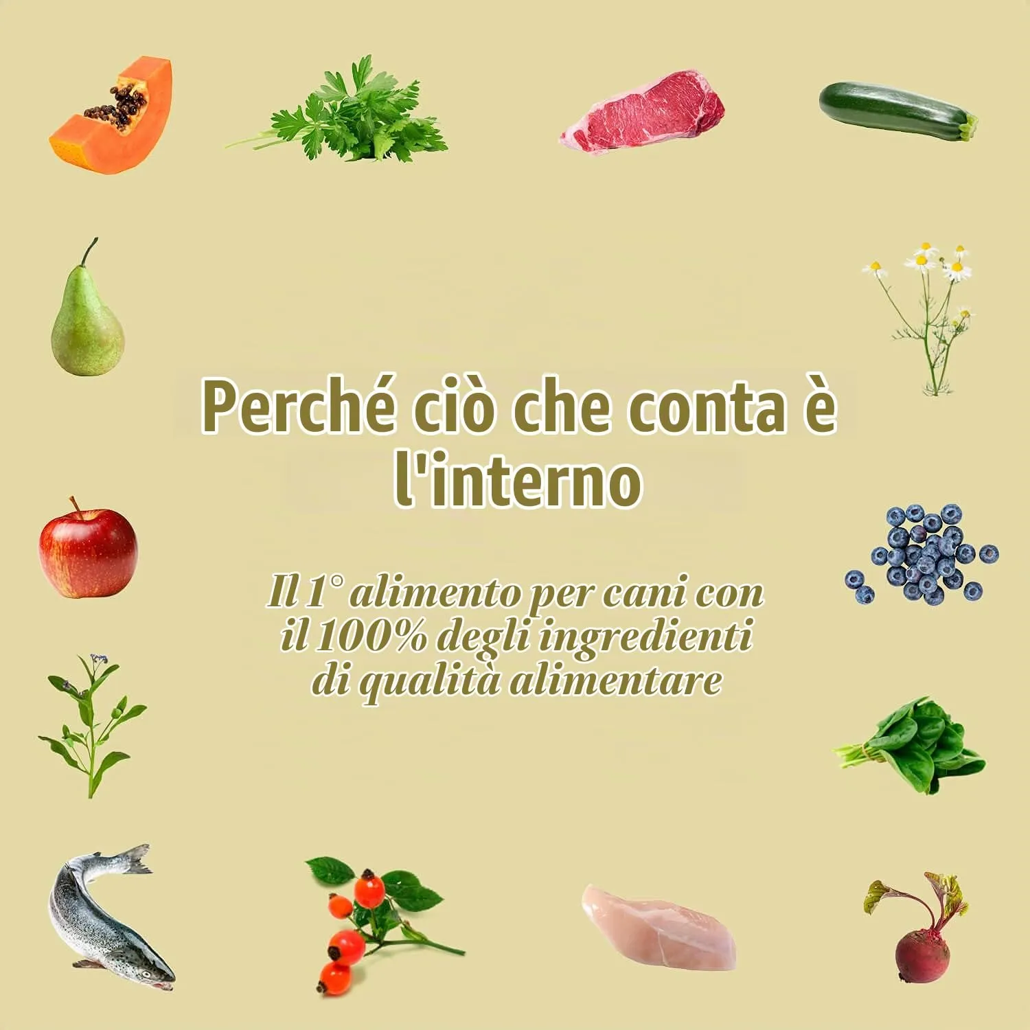 Terra Canis Agnello, zucchina & aneto, Minis cibo umido per cani, 18x100g - immagine 2