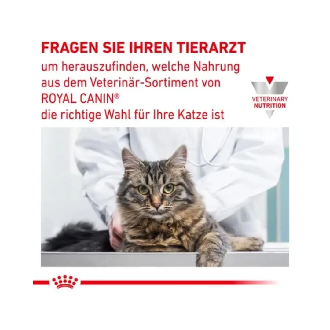 Veterinary Recovery | Mousse per cani e gatti | 12 x 195 g - immagine 8