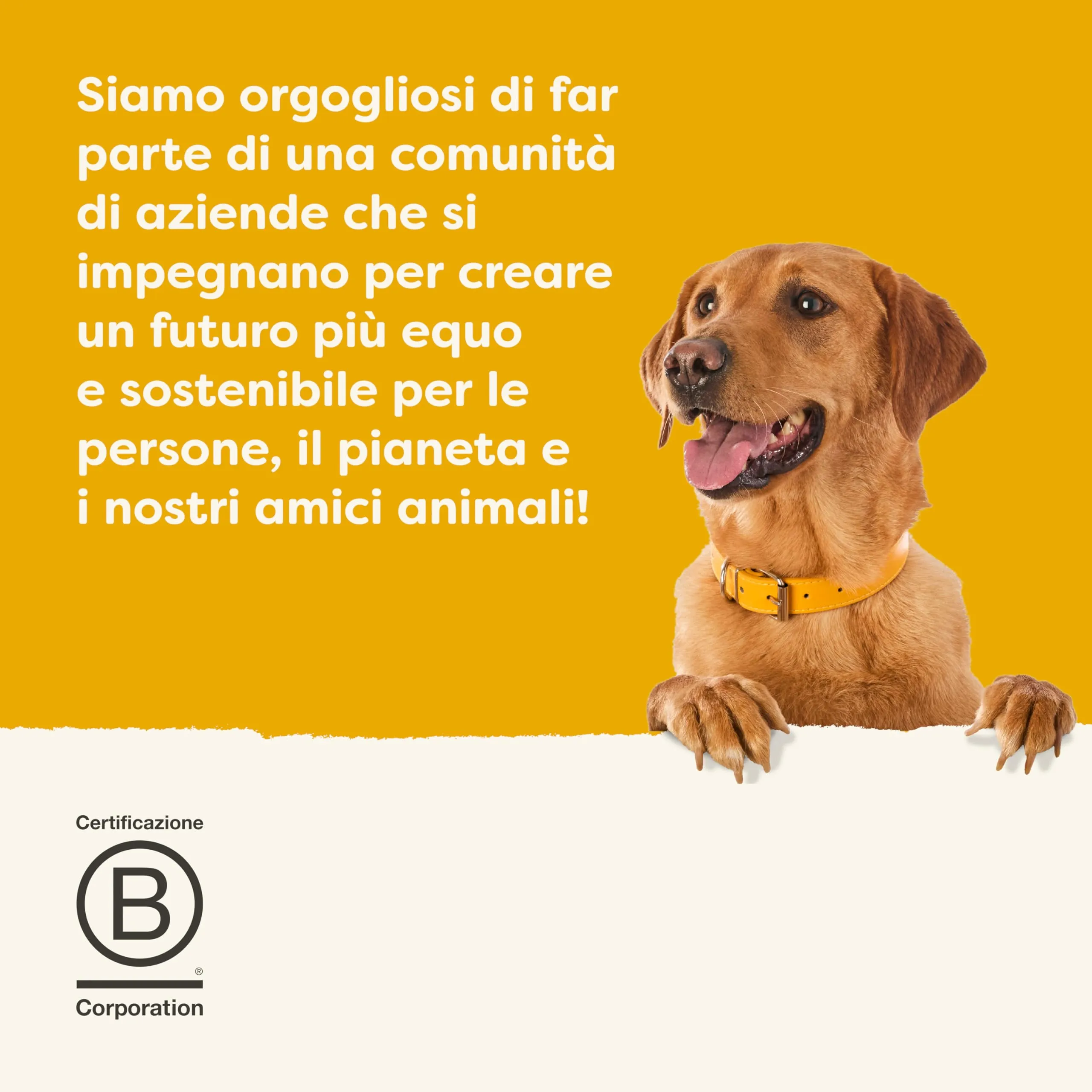 Applaws 100% Naturale – Cibo Umido per Cani, Pollo con Verdure in Brodo, 12 x 85g Bustine - immagine 7