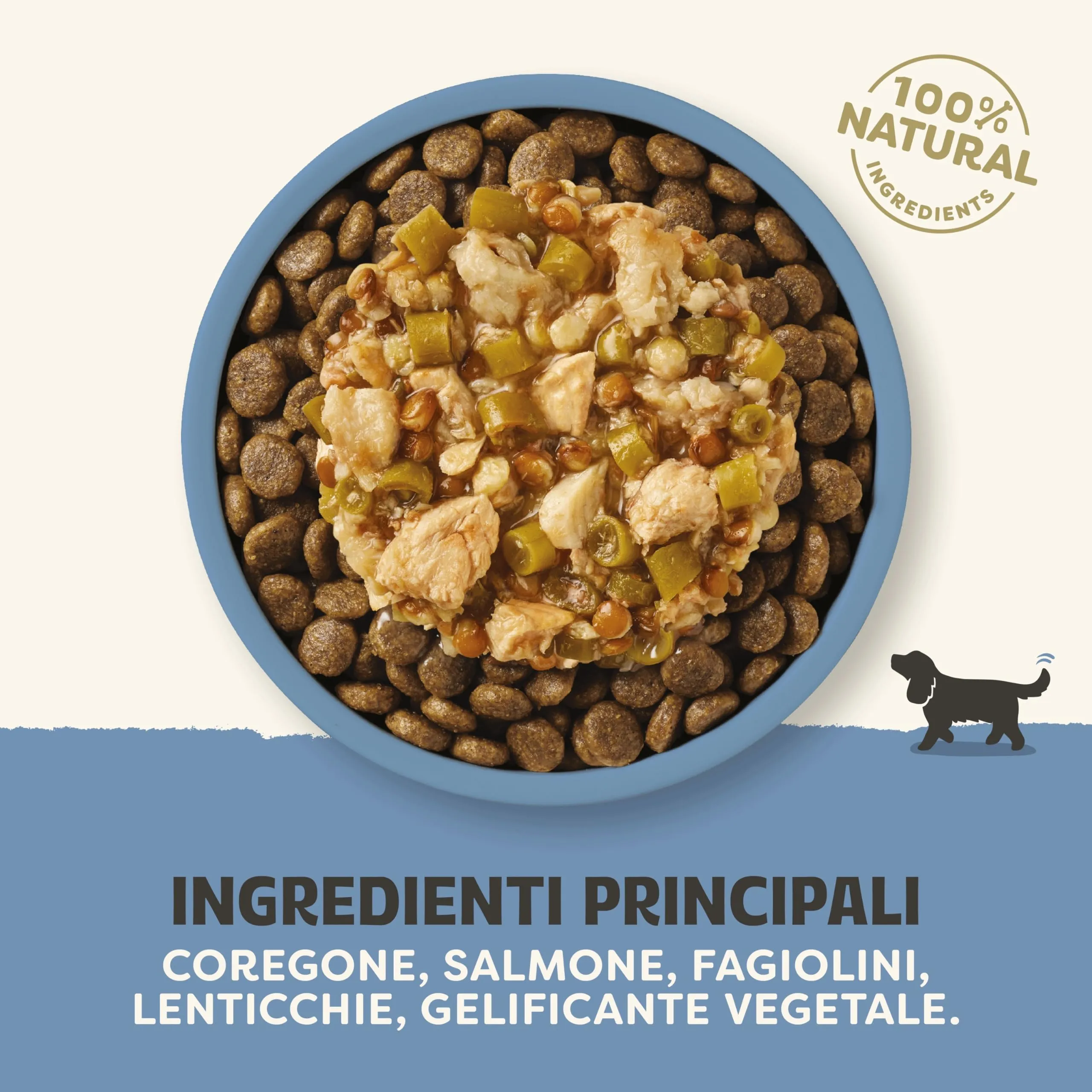 Applaws 100% Naturale – Cibo Umido per Cani, Pesce Bianco con Salmone e Verdure in Salsa, Senza Cereali, 12 x 85g Bustine - immagine 4