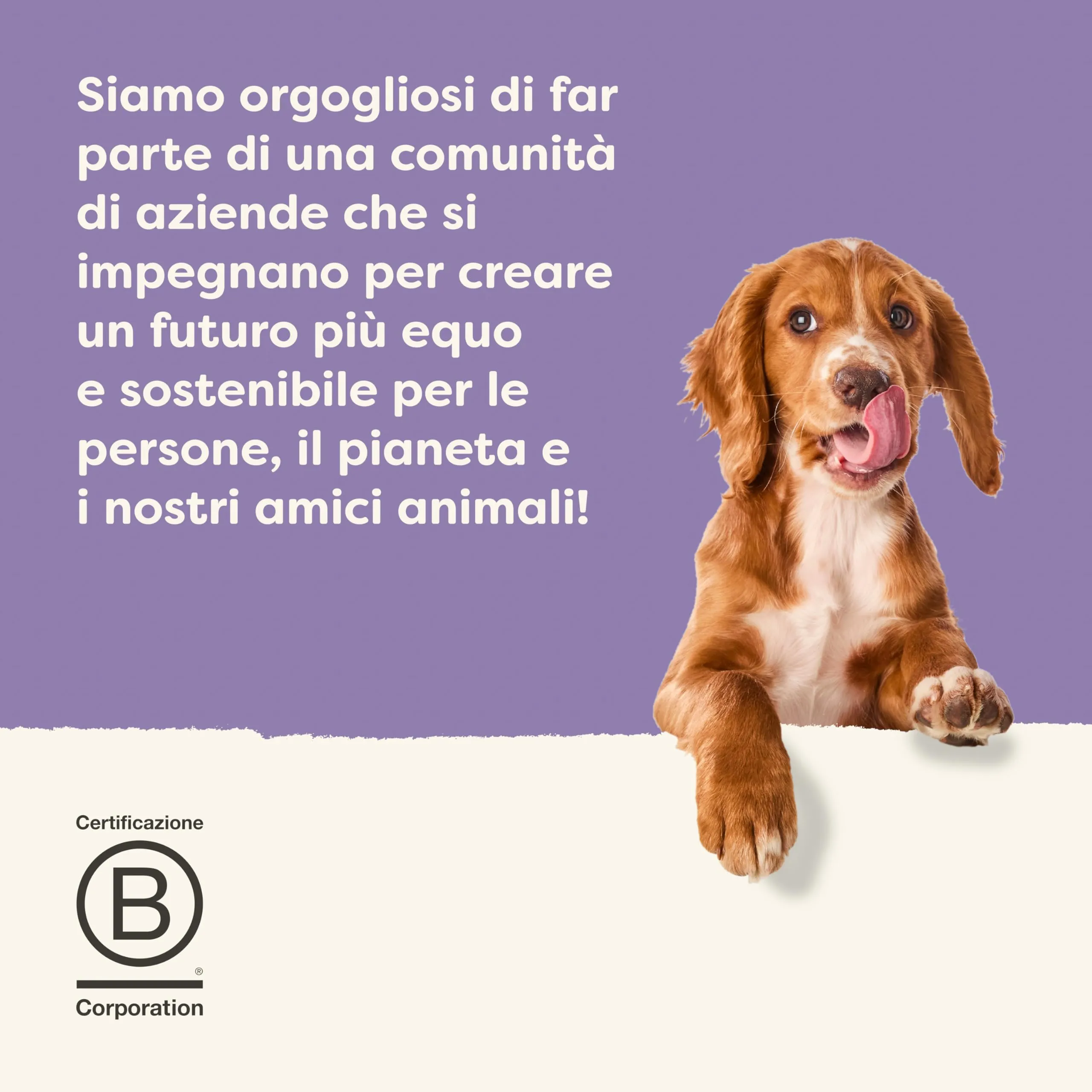 Applaws 100% Naturale – Cibo Umido per Cani, Tonno con Verdure in Brodo, Senza Cereali, 12 x 85g Bustine - immagine 7