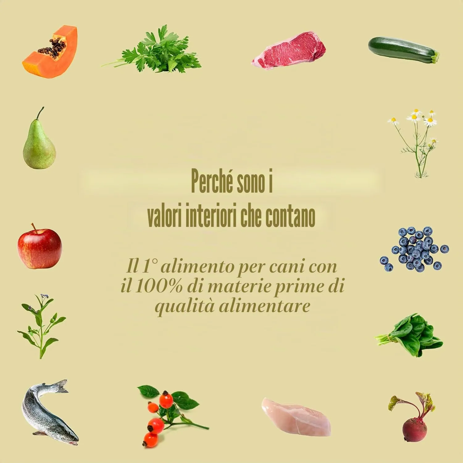 Terra Canis Cavallo con rutabaga e finocchio, cibo Mini per cani, 18x100g - immagine 2