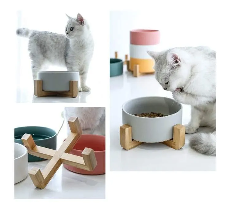 Ciotola in ceramica con supporto in bambù per cani e gatti, ciotola rialzata per una posizione comoda per mangiare e bere, opzioni, capacità 850 ml (Bianco) - immagine 4