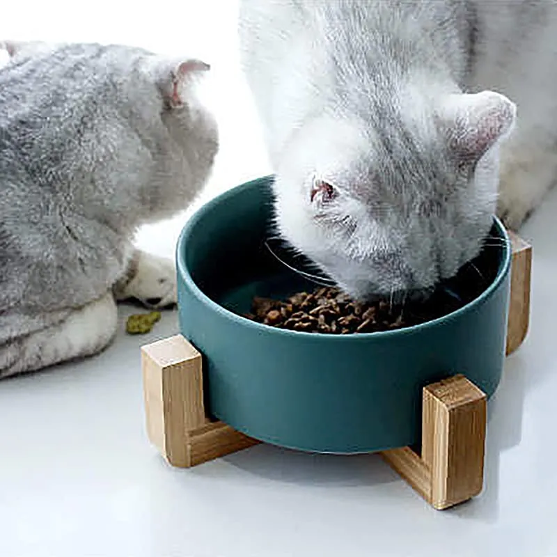 Ciotola in ceramica con supporto in bambù per cani e gatti, ciotola rialzata per una posizione comoda per mangiare e bere, opzioni, capacità 850 ml (Bianco) - immagine 5