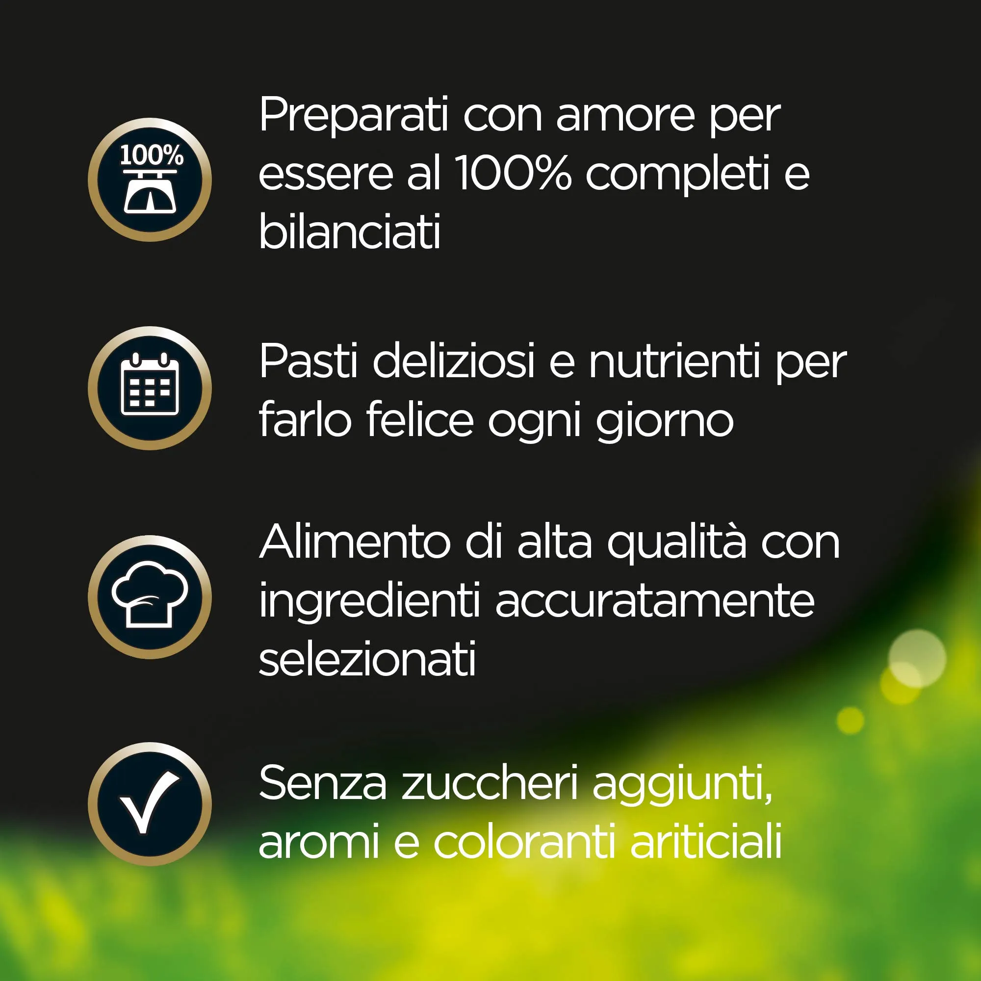 Cesar Selezioni dell'Orto Cibo per Cane con Pollo, Carote ed Erbe di Provenza, 14 x 150g (Confezione da 4) - immagine 2
