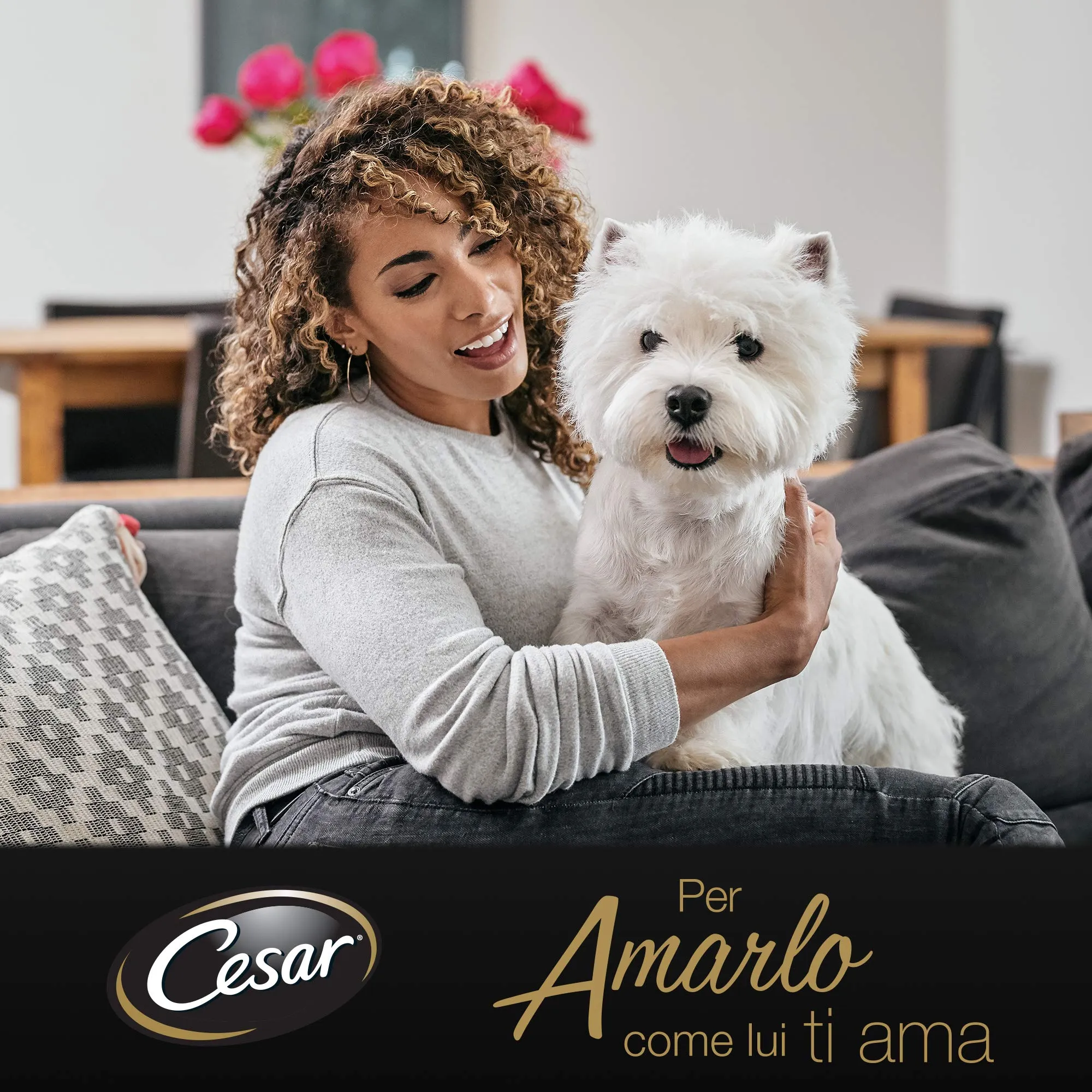 Cesar Selezioni dell'Orto Cibo per Cane con Pollo, Carote ed Erbe di Provenza, 14 x 150g (Confezione da 4) - immagine 6