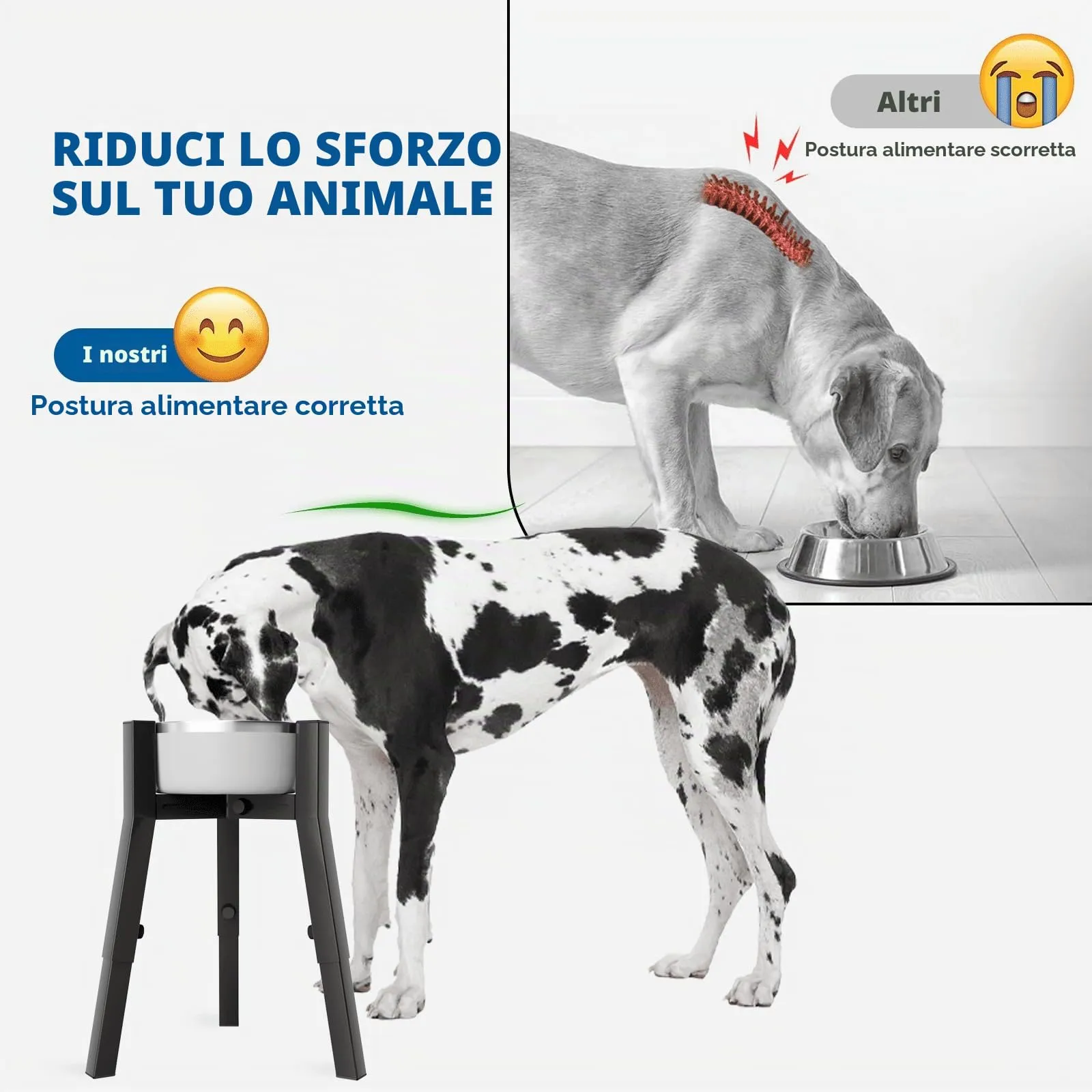 Supporto Regolabile per Ciotola Rialzata per Cani di Taglia Grande - Altezza 3 Livelli per Ciotole 17,8-27,2 cm - immagine 2