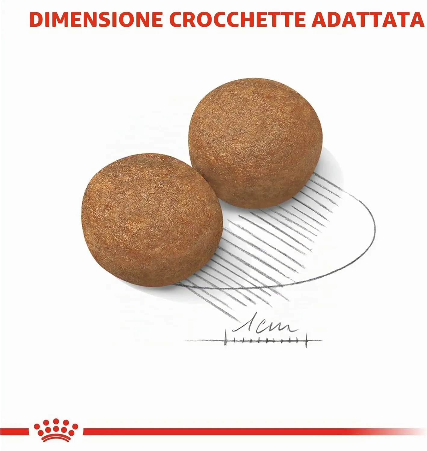 Royal Canin Maxi Adult 12 kg - immagine 3