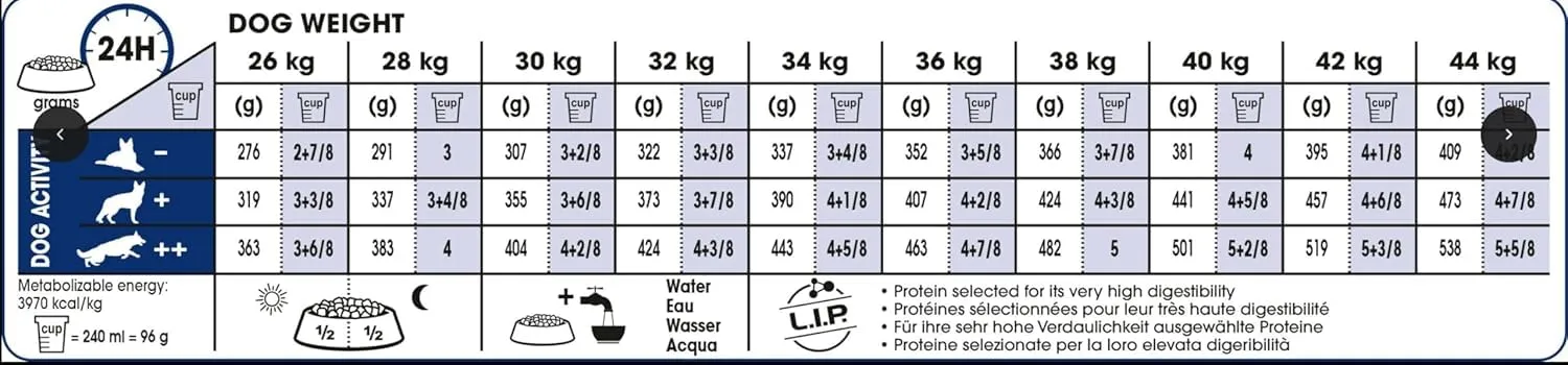 Royal Canin Maxi Adult 12 kg - immagine 4