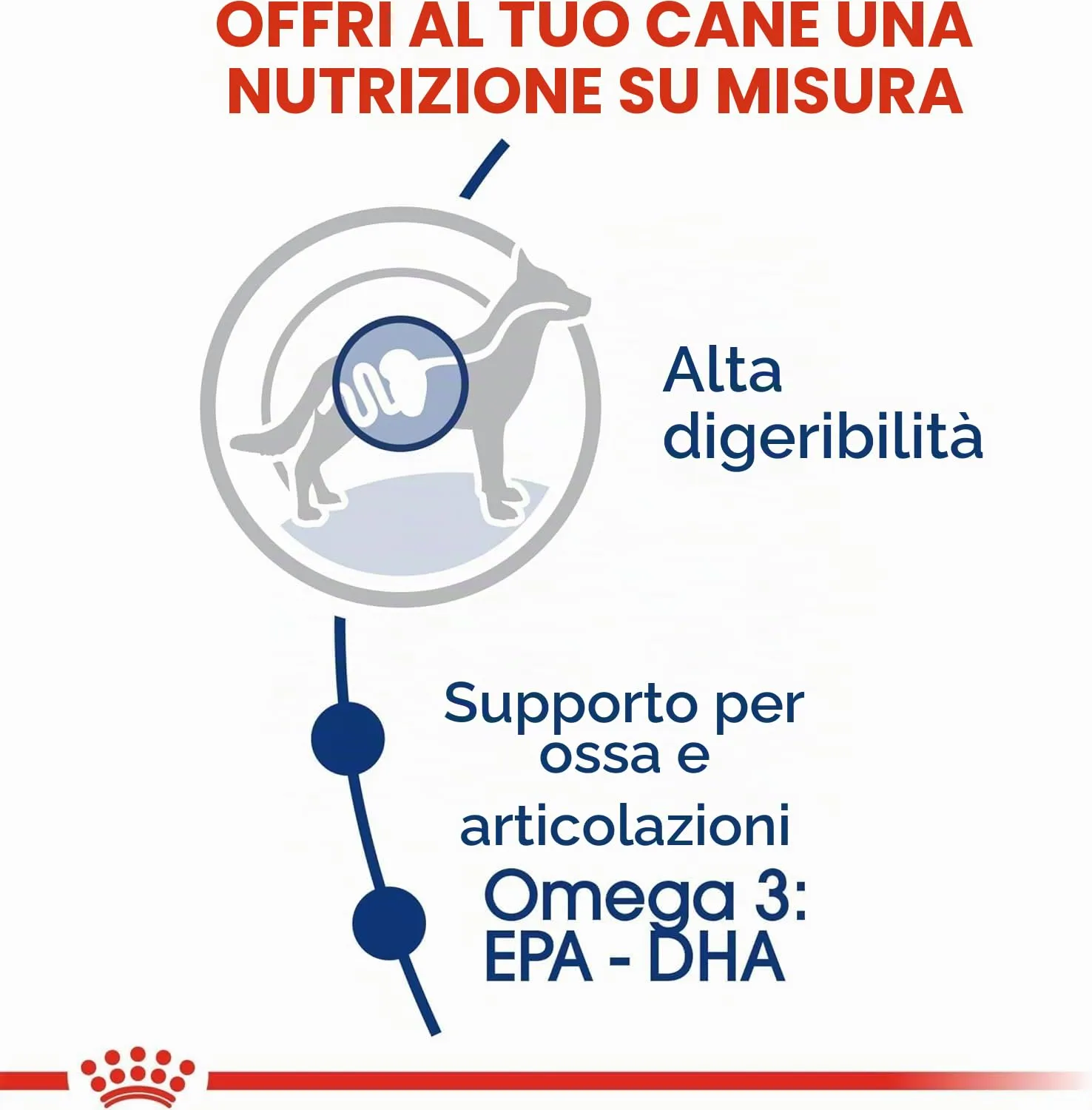 Royal Canin Maxi Adult 12 kg - immagine 5
