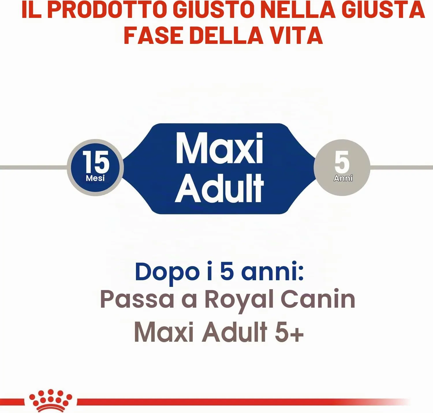 Royal Canin Maxi Adult 12 kg - immagine 6