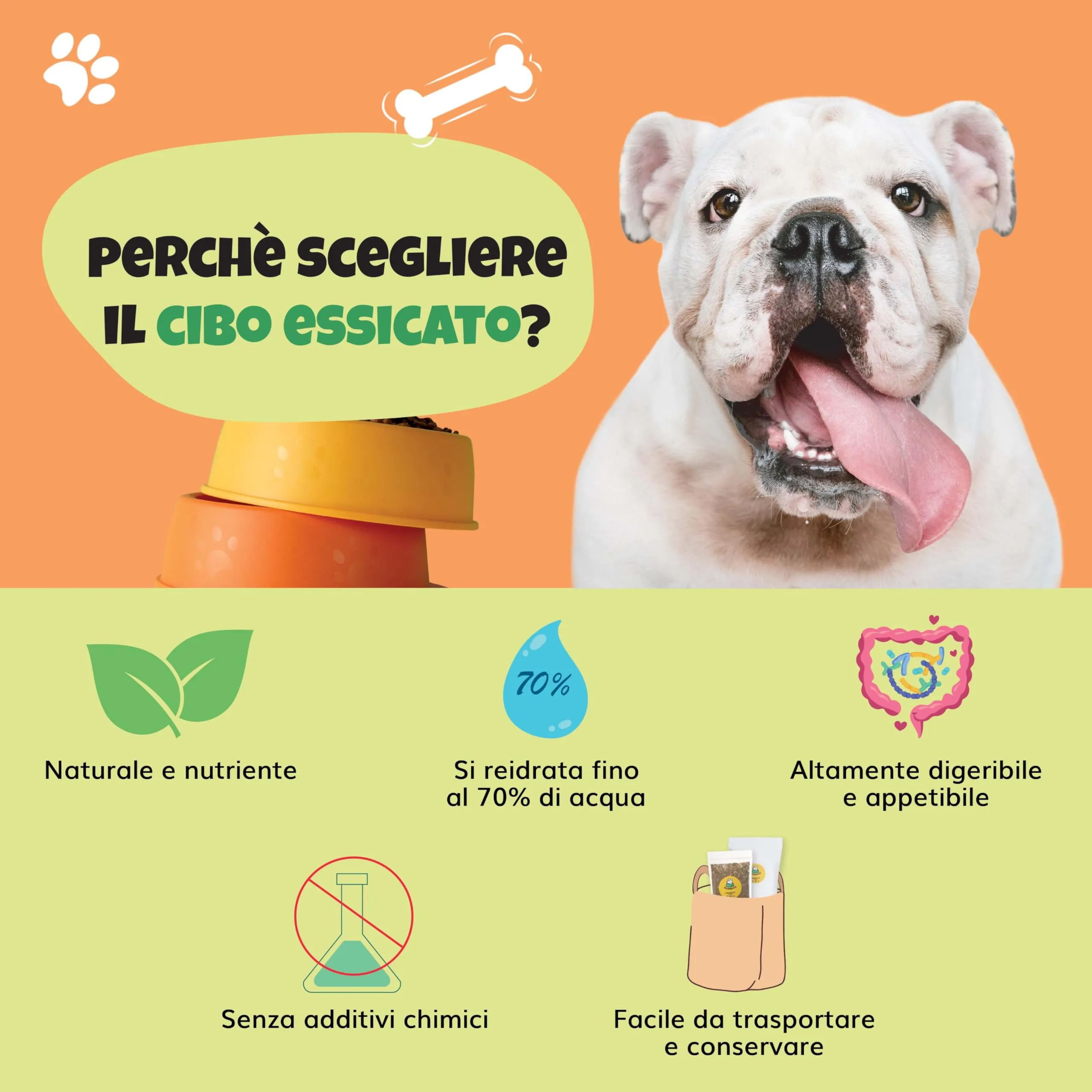 SELVADEGO | Cibo Naturale per Cani – Manzo e Agnello – Alimento Completo Ispirato alla Dieta BARF – 100% Naturale, Digeribile e Facile da Preparare – 2 Kg (2 Kg, Manzo e Agnello) - immagine 6