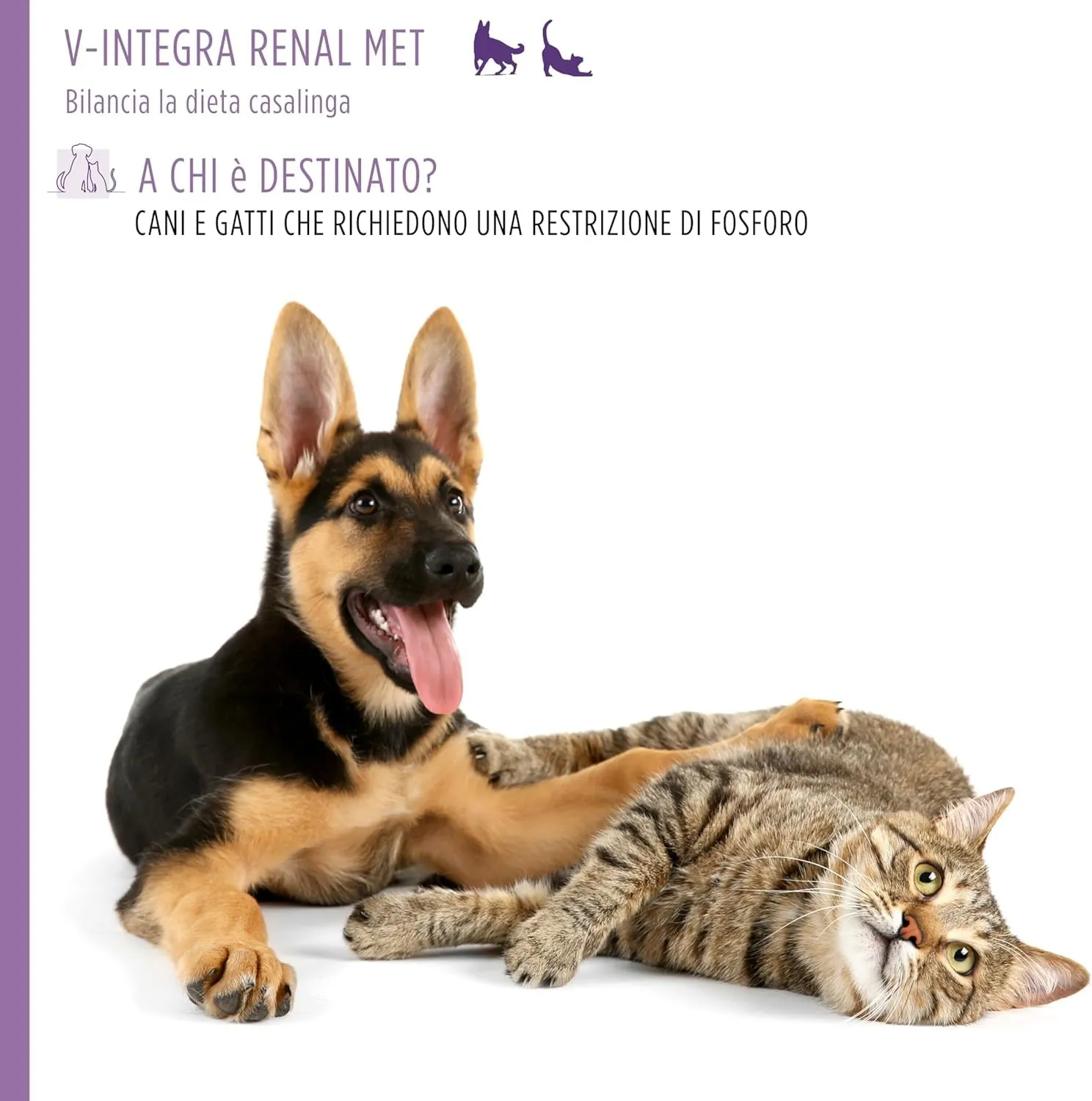 V-INTEGRA Renal Met (con Metionina) - Integratore Completo Ricco di Vitamine e Minerali, per la Dieta Casalinga di Cani e Gatti che Richiedono una Restrizione di Fosforo - 500g - Made in Italy - immagine 3