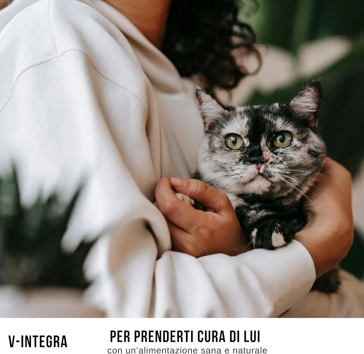 V-INTEGRA Renal Met (con Metionina) - Integratore Completo Ricco di Vitamine e Minerali, per la Dieta Casalinga di Cani e Gatti che Richiedono una Restrizione di Fosforo - 500g - Made in Italy - immagine 5