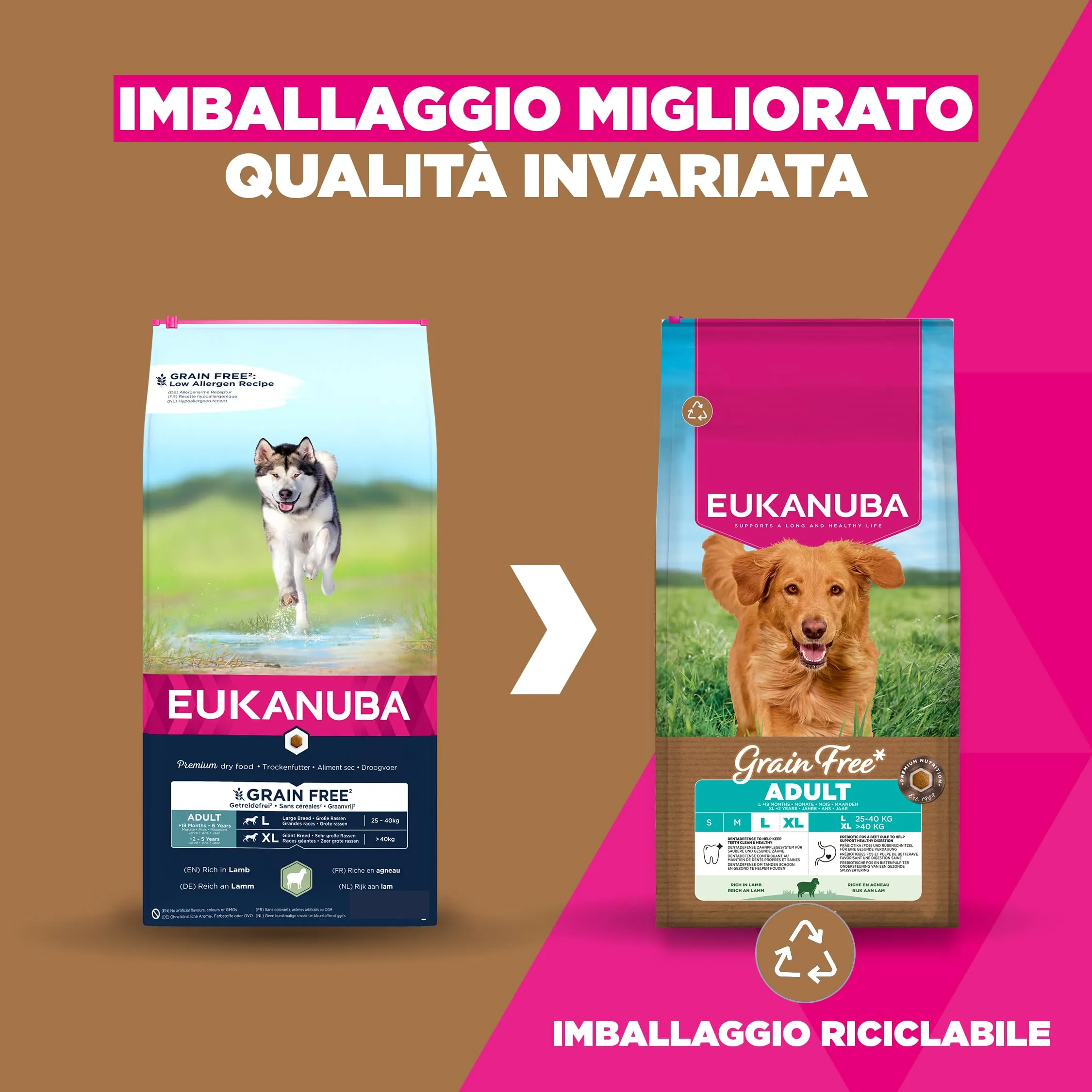 EUKANUBA Crocchette per cani adulti taglia grande con agnello, 12 kg - immagine 2