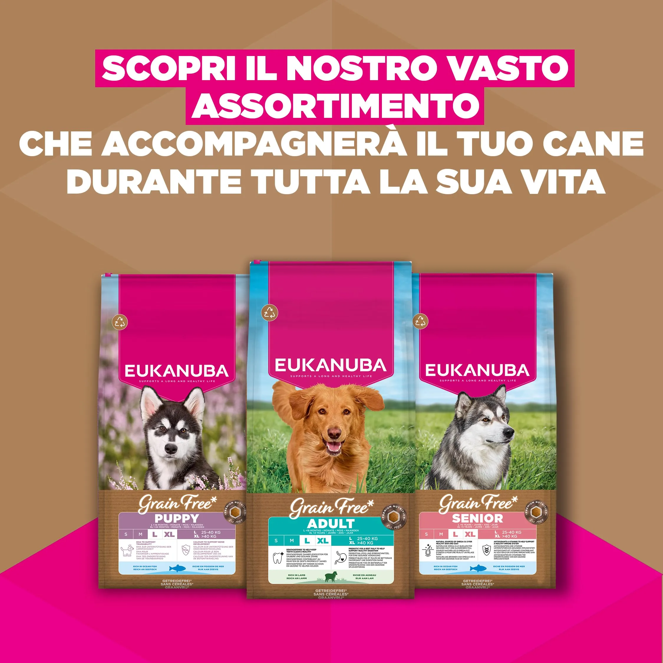 EUKANUBA Crocchette per cani adulti taglia grande con agnello, 12 kg - immagine 9