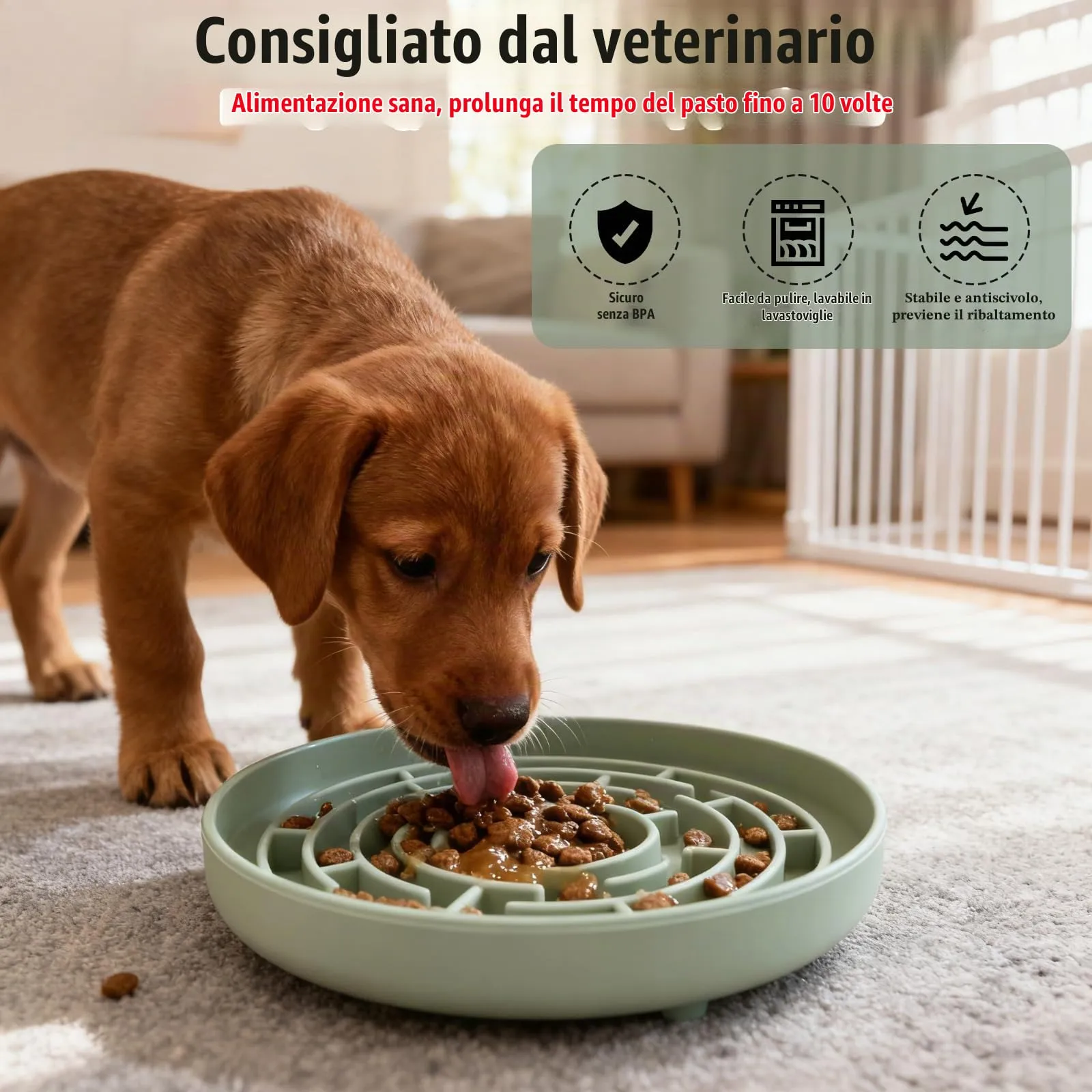 Zencantorous Ciotola Anti Ingozzamento, Ciotola per Cani Anti Ingozzamento - immagine 5
