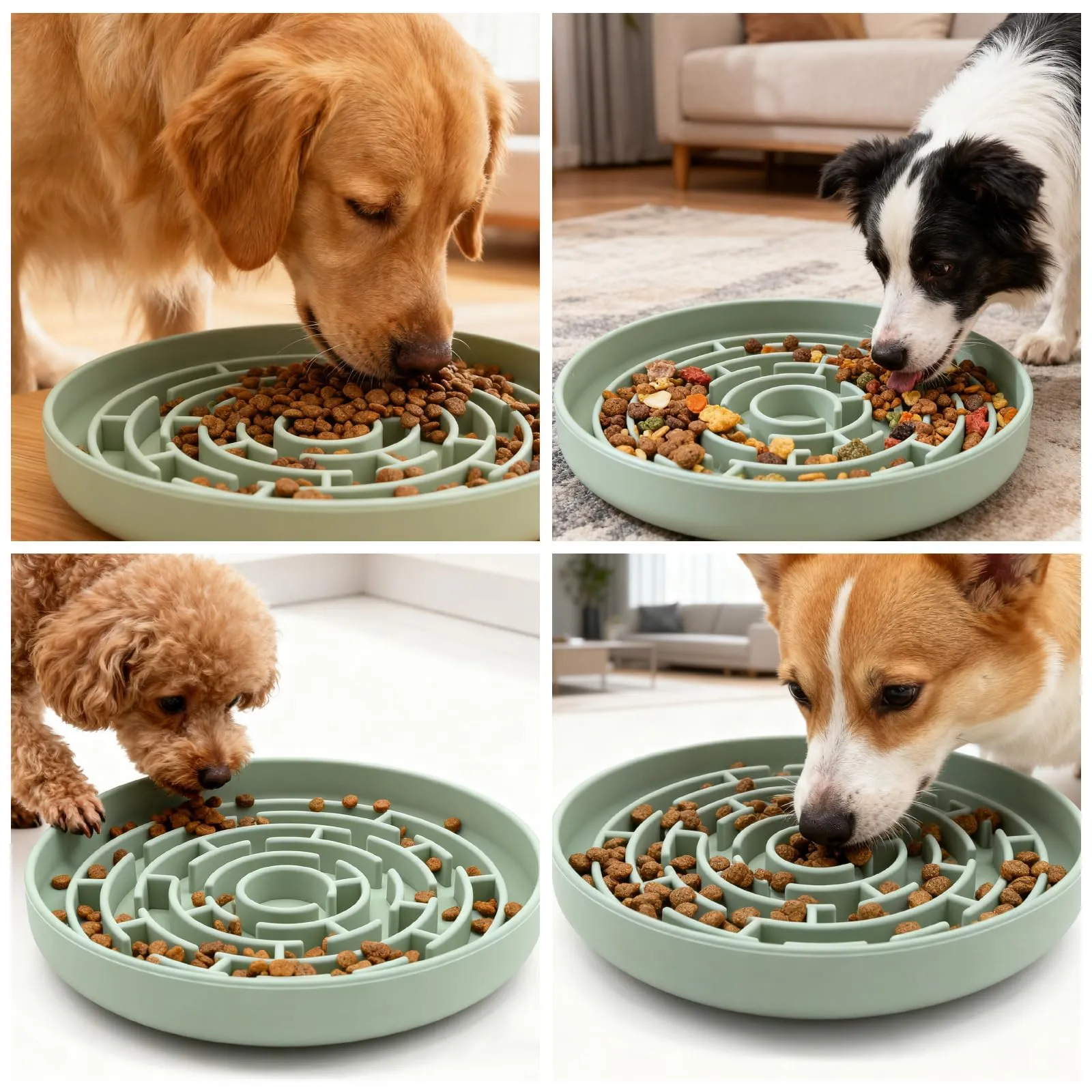 Zencantorous Ciotola Anti Ingozzamento, Ciotola per Cani Anti Ingozzamento - immagine 7