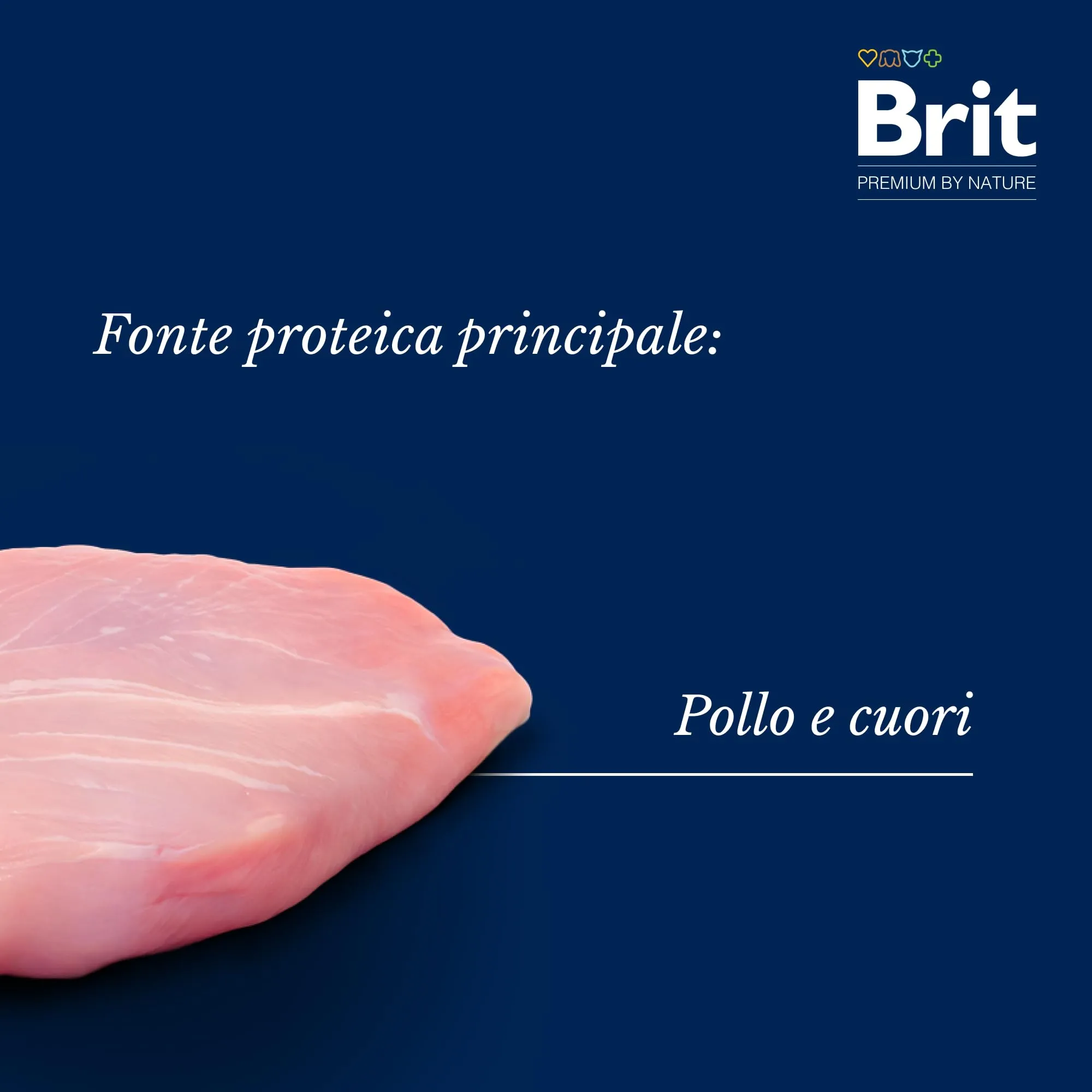 Brit Premium Cibo Umido per Cani, Pollo con Cuori di Pollo, 6 x 800 g - immagine 4