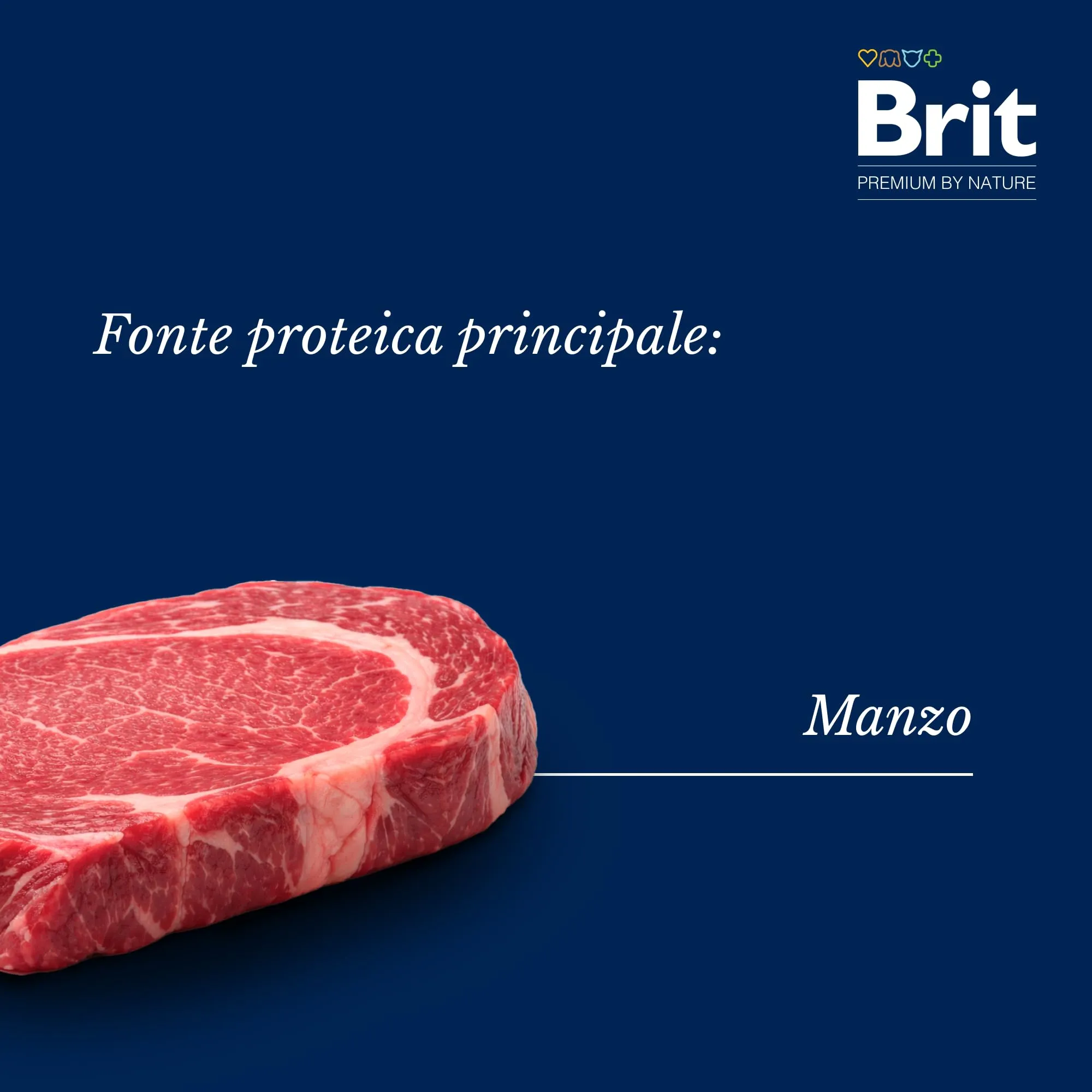 Brit Premium Cibo Umido per Cani, Filetti di Manzo e Carote, 24 x 85 g - immagine 4