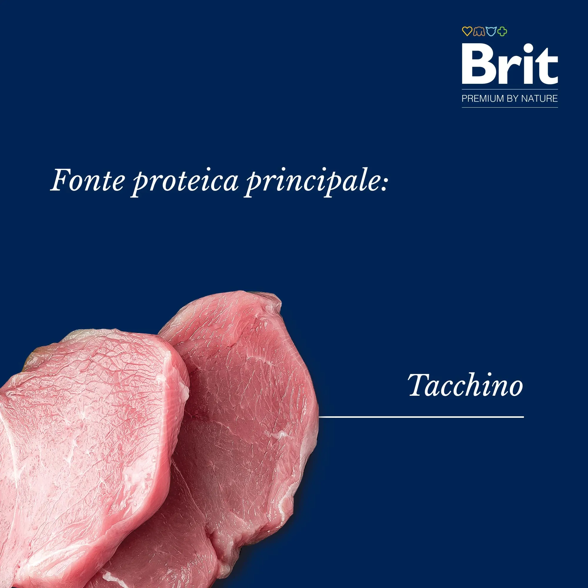 Brit Premium Cibo umido per Cuccioli, Filetti di Tacchino e Carote, 24x85 g - immagine 4