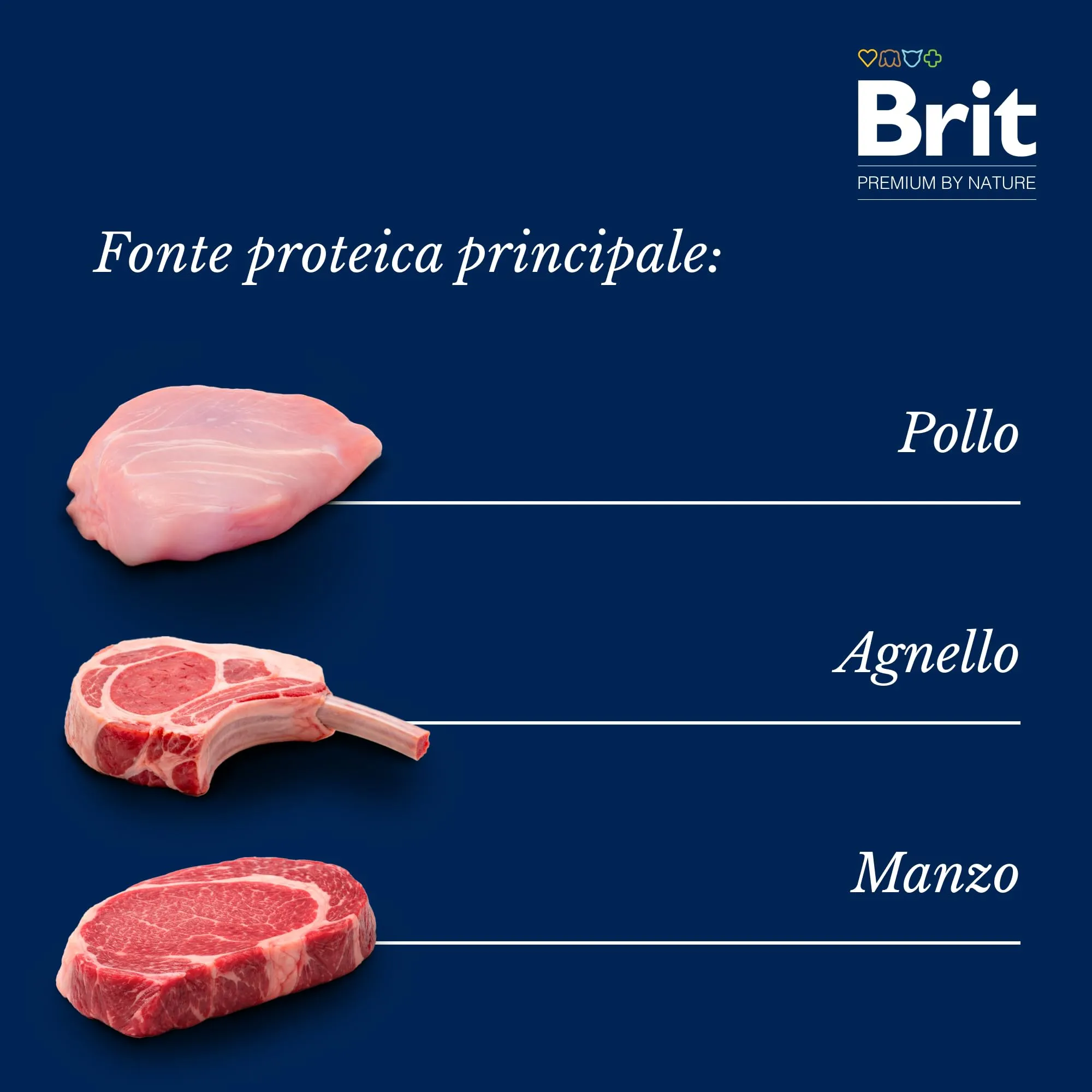 Brit Premium Cibo Umido per Cani, Filetti in Salsa, Multipack, 12 x 85 g - immagine 4
