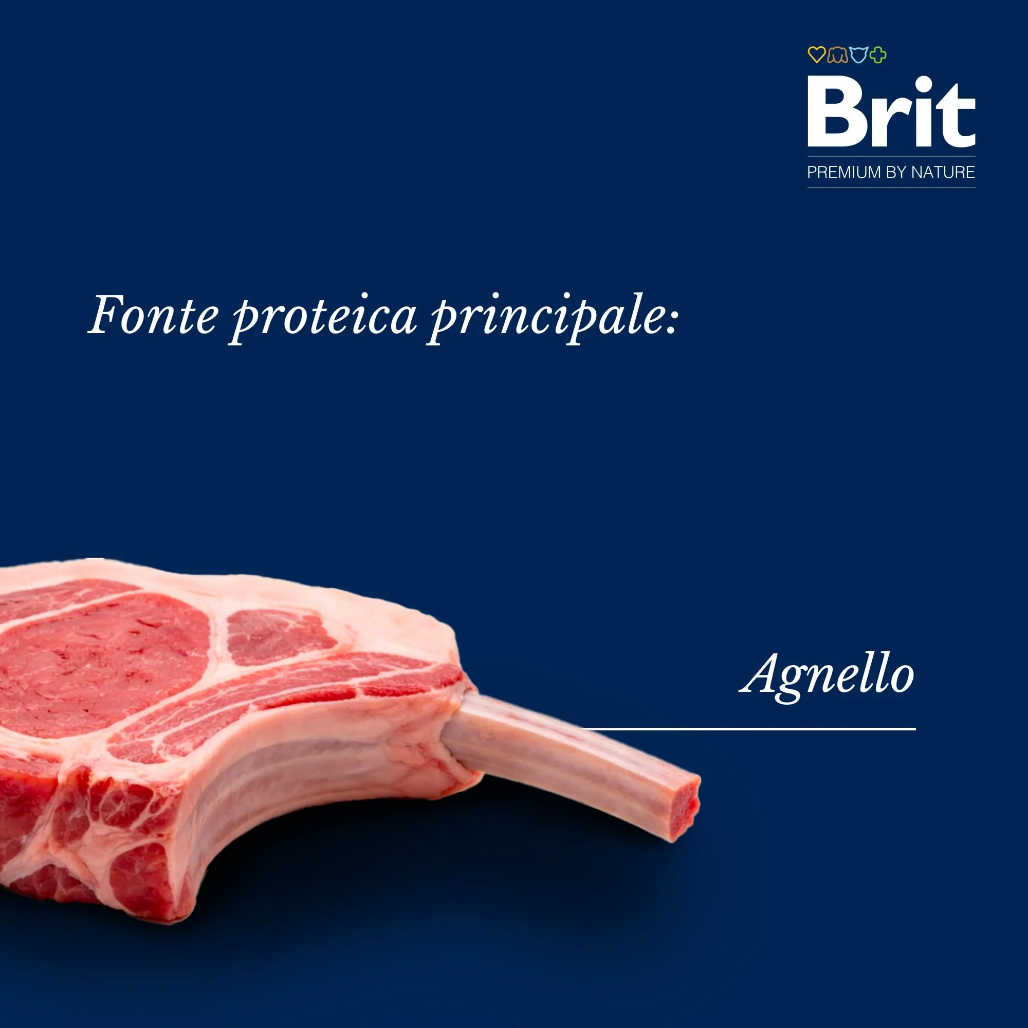 Brit Premium Cibo Umido per Cani, Filetti di Agnello e Piselli, 24 x 85 g - immagine 4