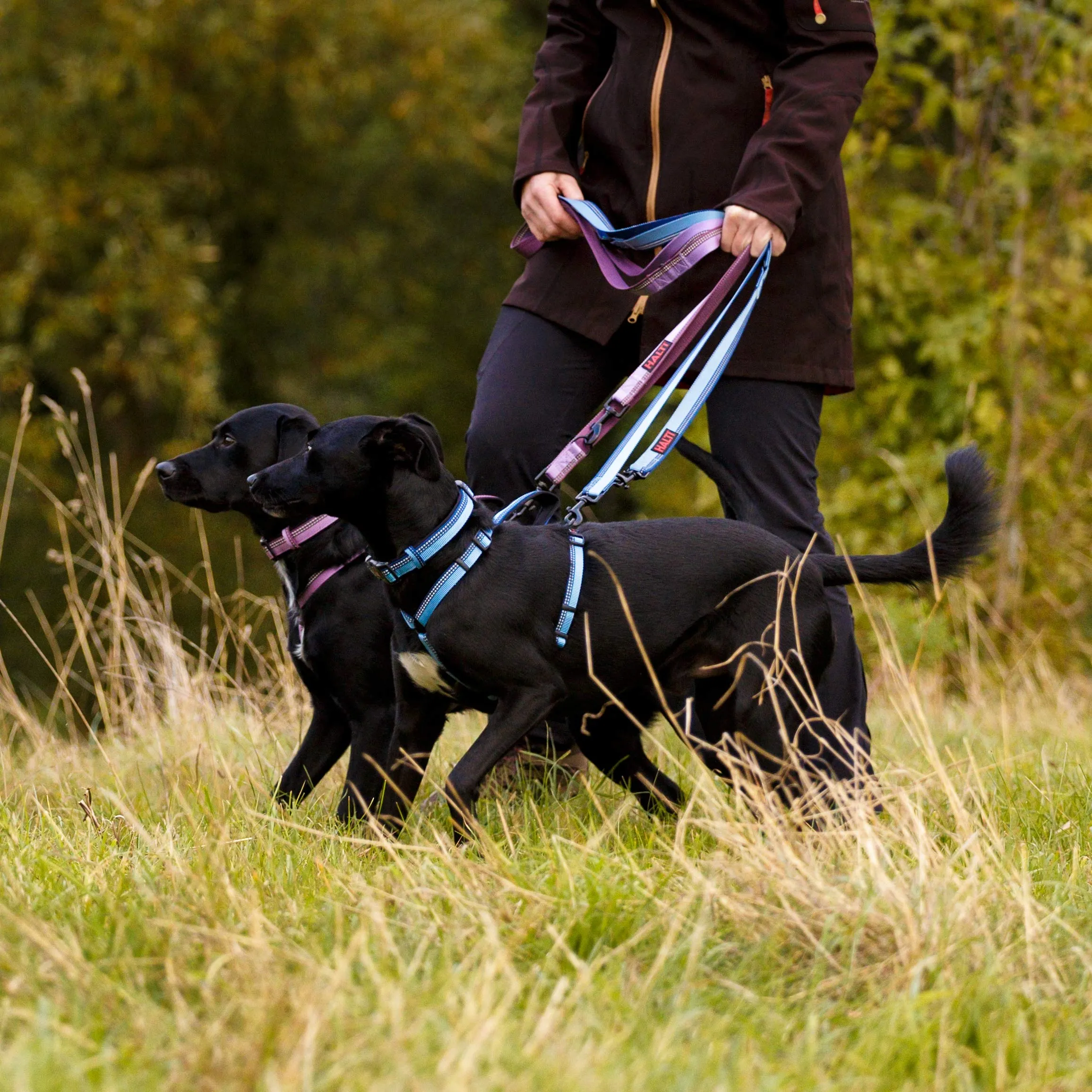 Guinzaglio a doppia estremità HALTI - guinzaglio da addestramento con imbottitura in neoprene, tessuto catarifrangente 3M e lunghezza regolabile. Ideale per cani medi e grandi (taglia L, rosso) - immagine 4