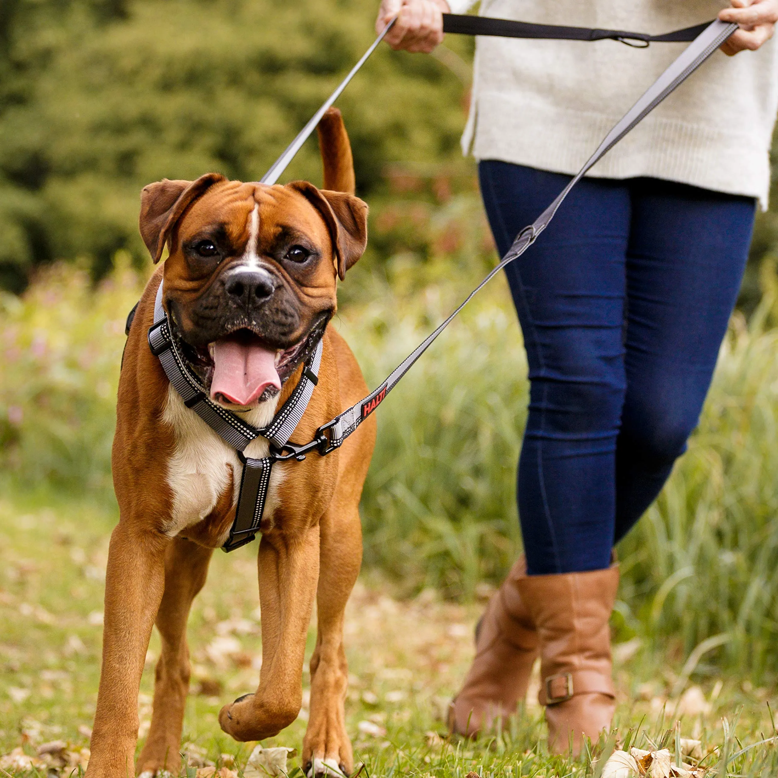 Guinzaglio a doppia estremità HALTI - guinzaglio da addestramento con imbottitura in neoprene, tessuto catarifrangente 3M e lunghezza regolabile. Ideale per cani medi e grandi (taglia L, rosso) - immagine 5