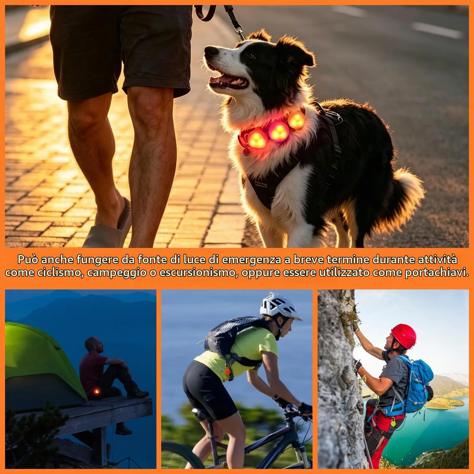 iPobie 5 pz Ciondolo Luminoso Cane, Collare di Sicurezza per Cane in Silicone LED Pendente Luminoso Lampeggiante per Corridori Passeggiate Notturne - immagine 5